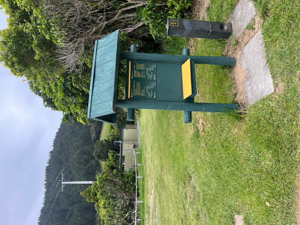 Whatamango Bay Campsite image 2