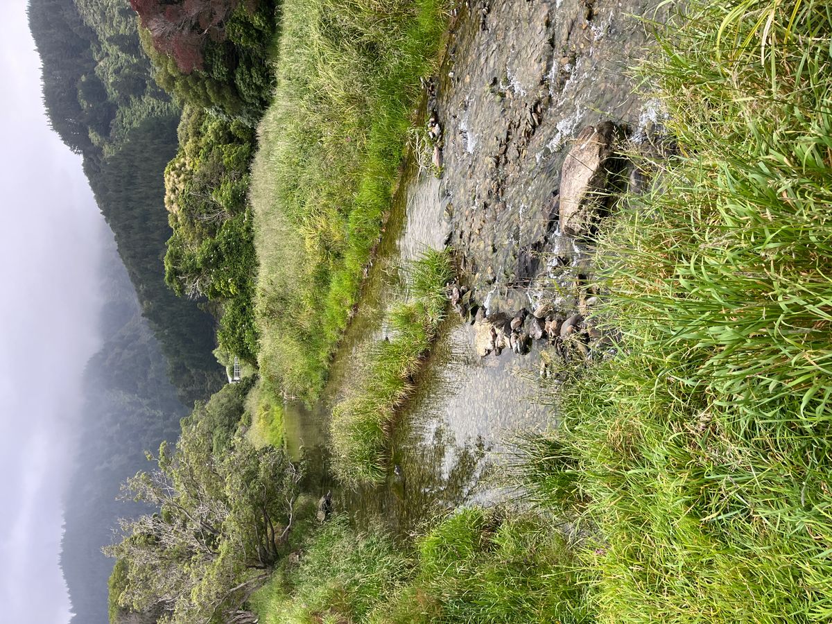 Whatamango Bay Campsite image 1