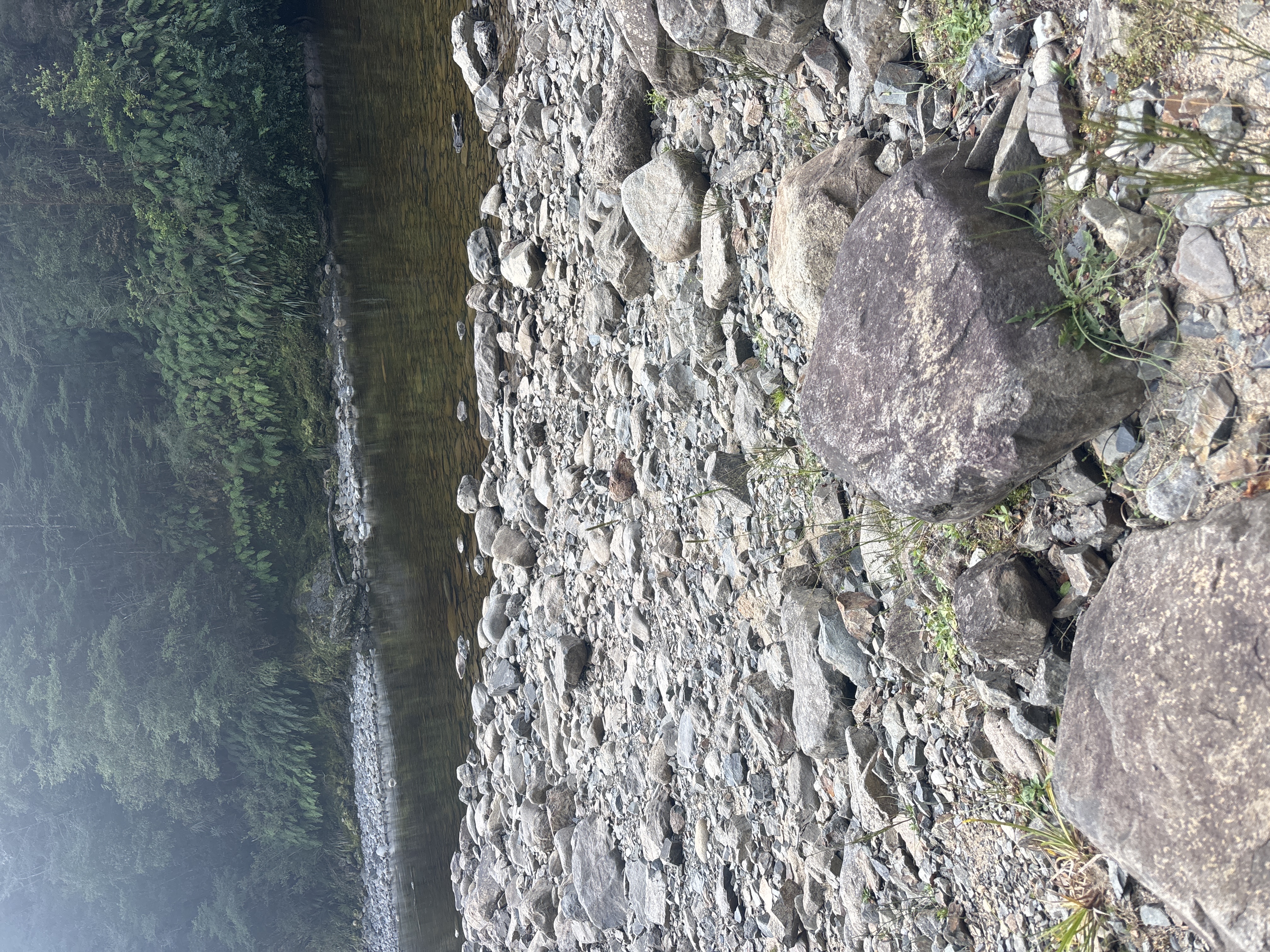 Denniston to New Creek image 6