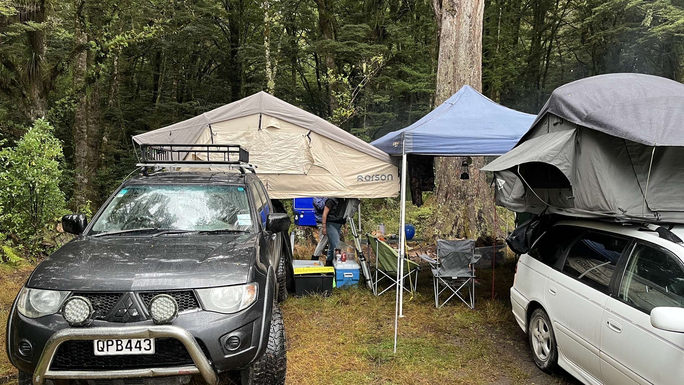 Clements Clearing Campsite image 4