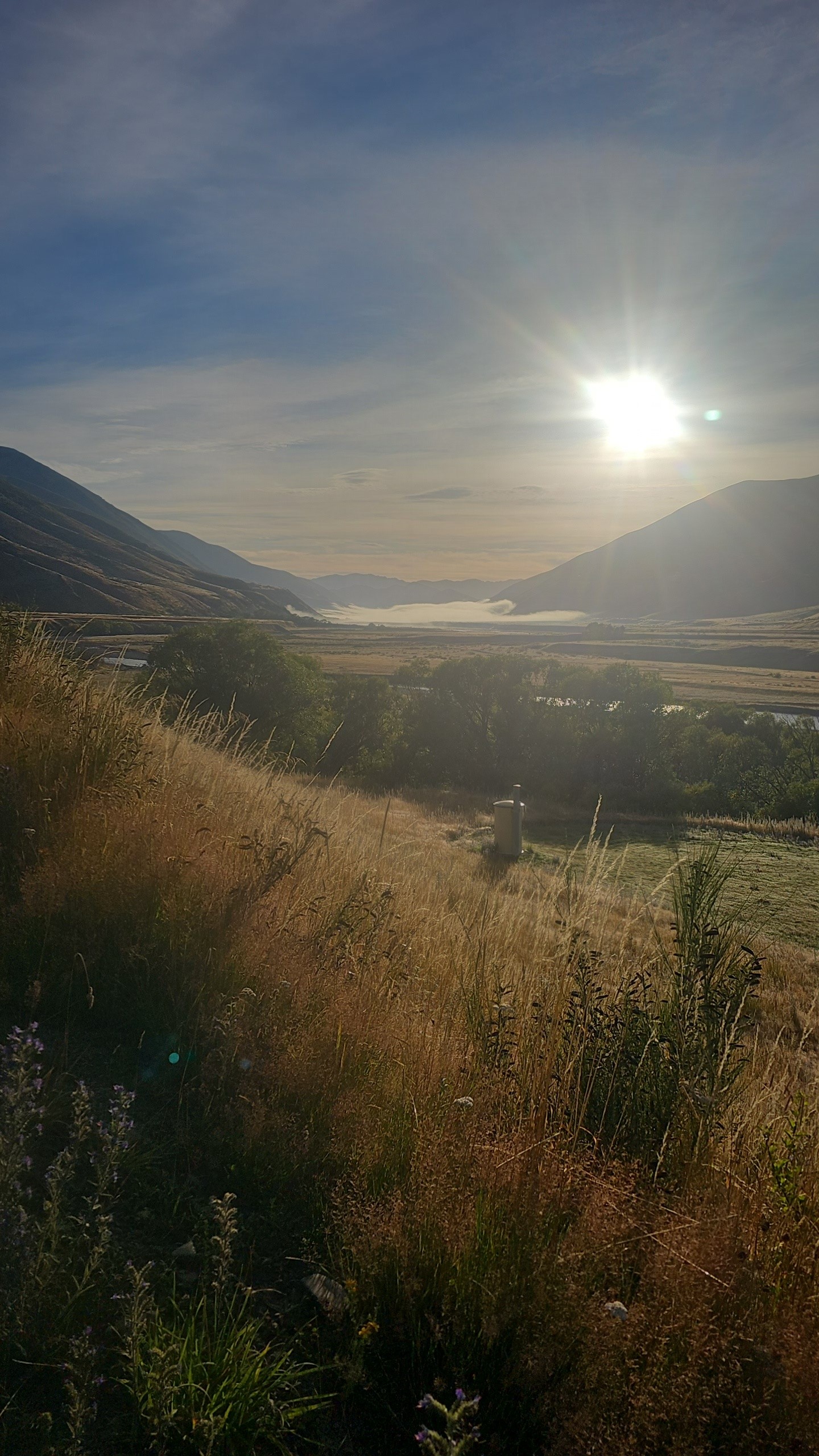 Molesworth Station image 8