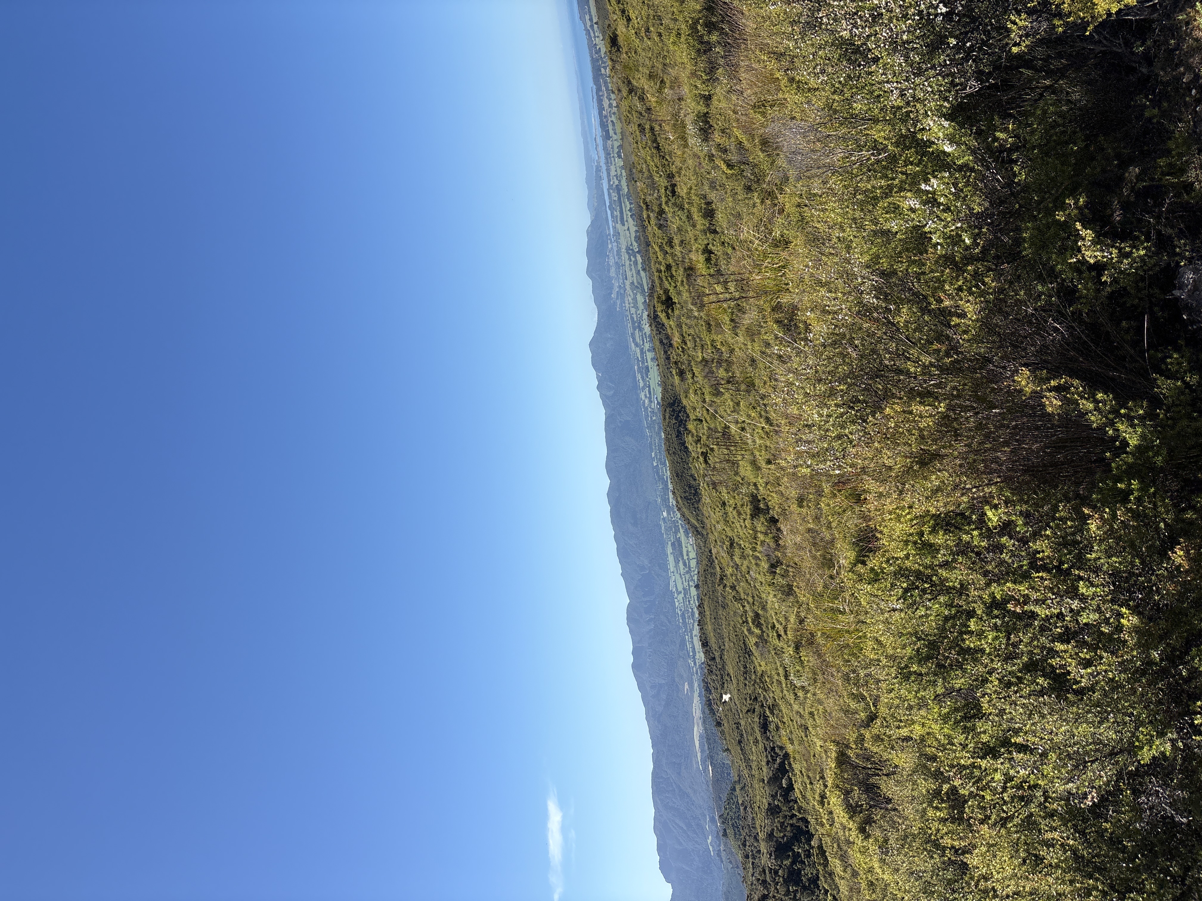 Aorere Goldfields image 5