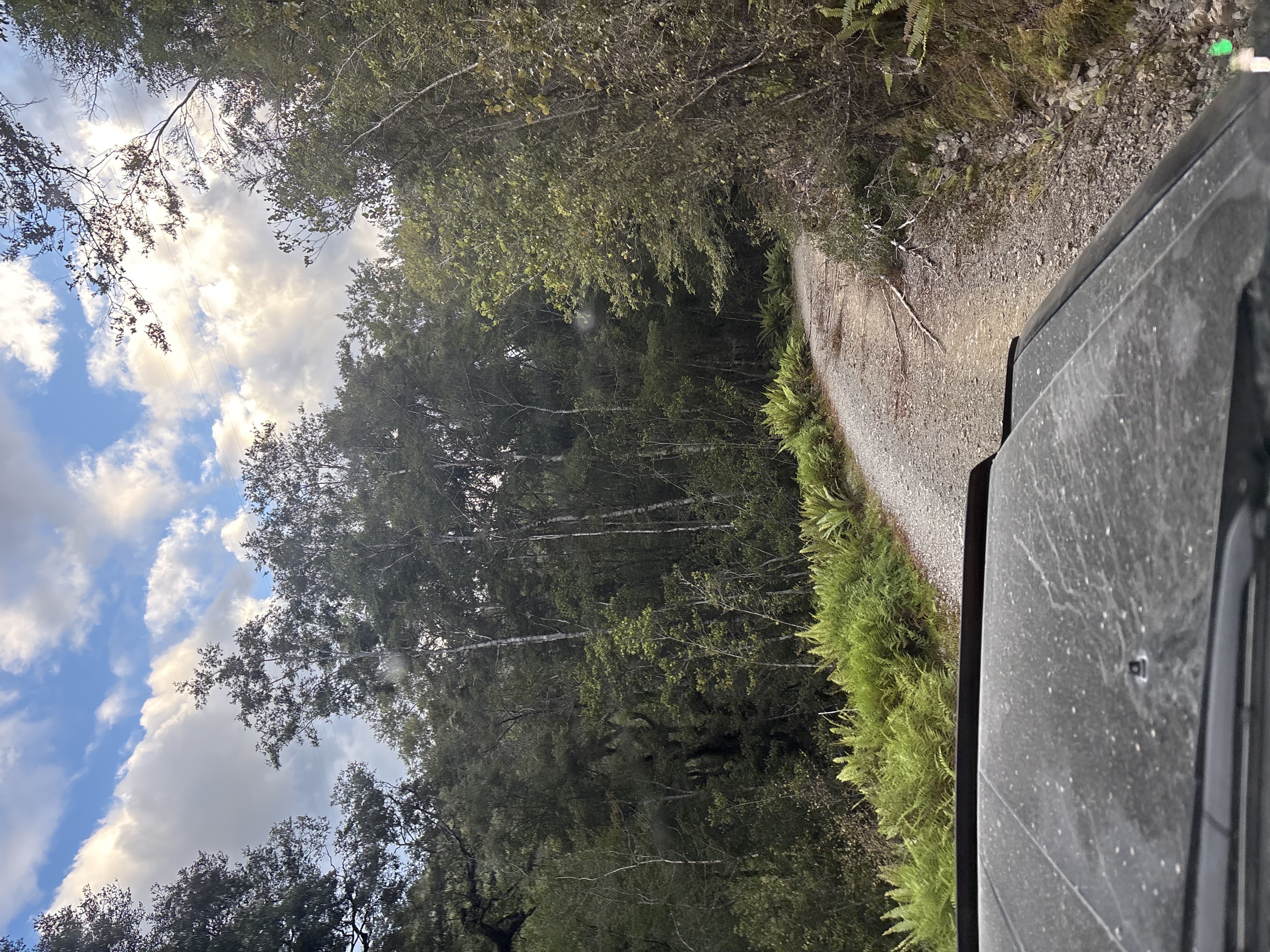 Denniston (Alternative route) image 1