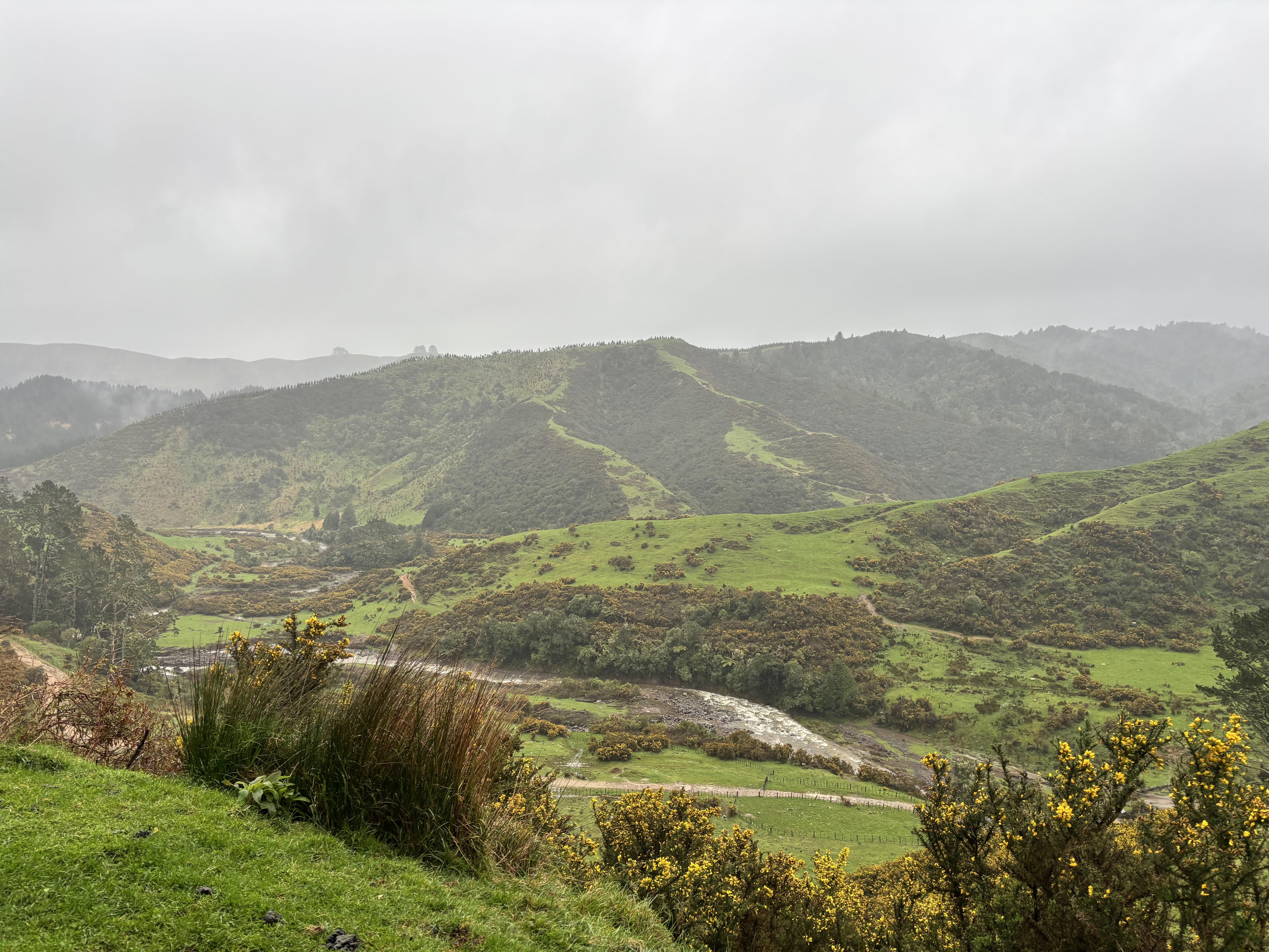Pirongia West Road image 1