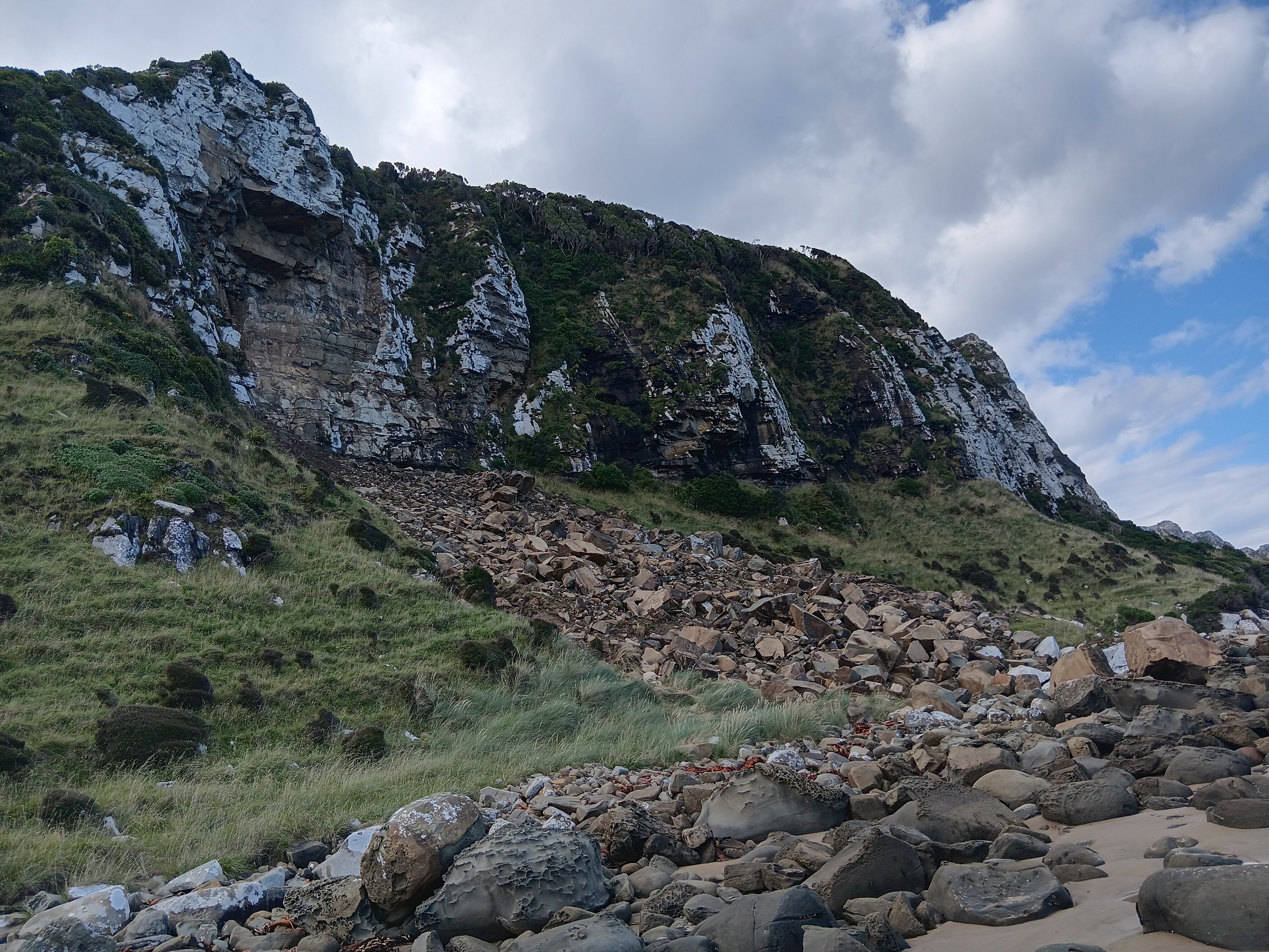 Purakaunui Beach image 1
