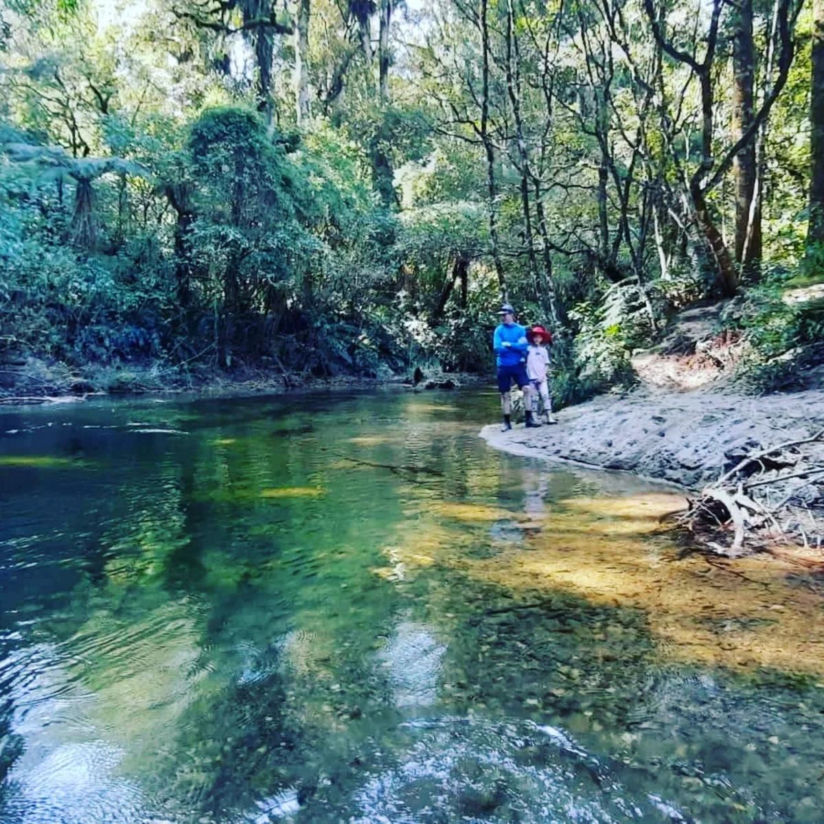 Kakaho Campsite image 8