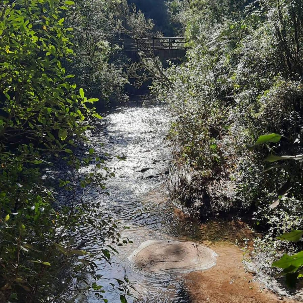 Kakaho Campsite image 7