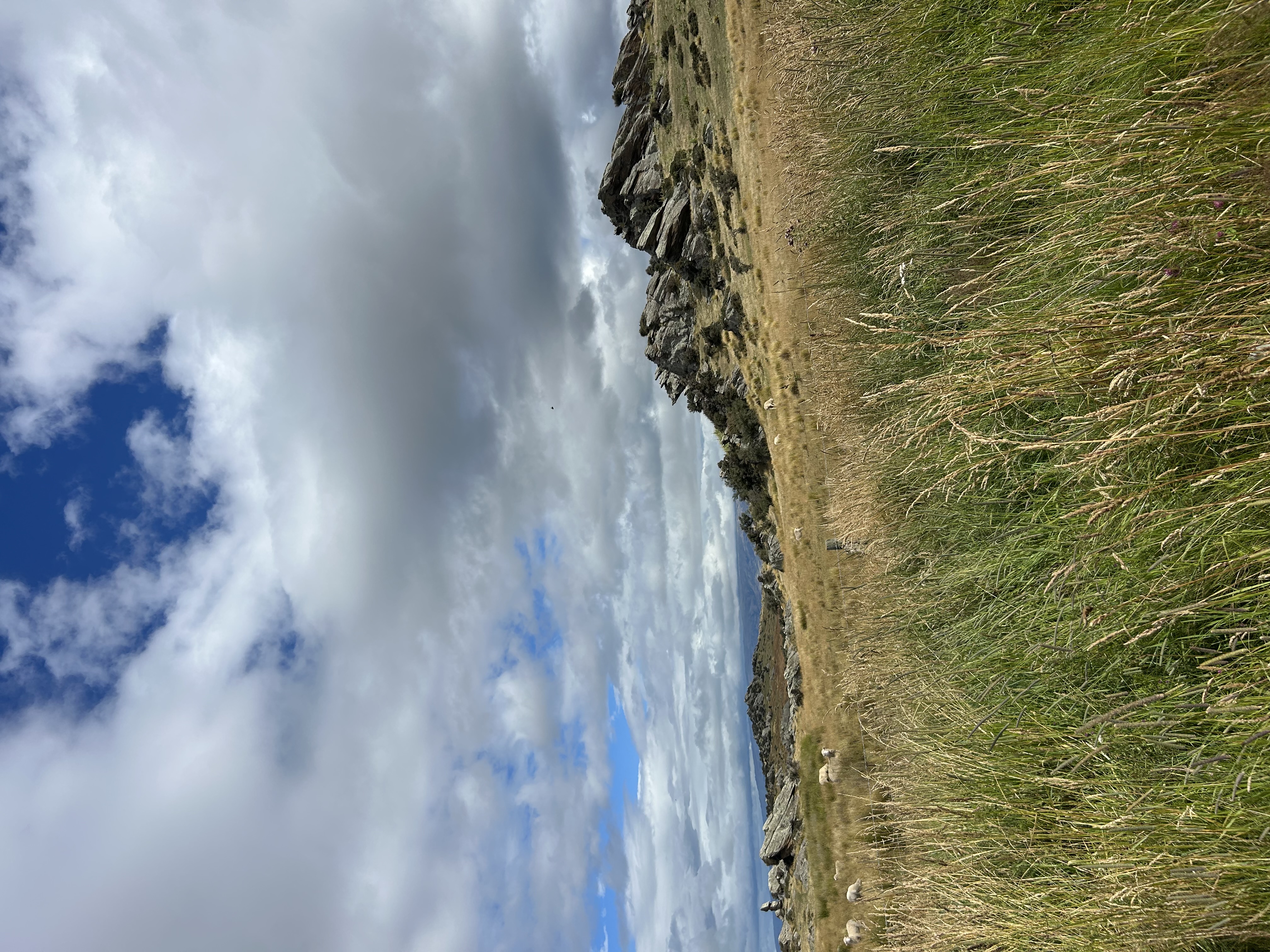Garibaldi Diggings image 5