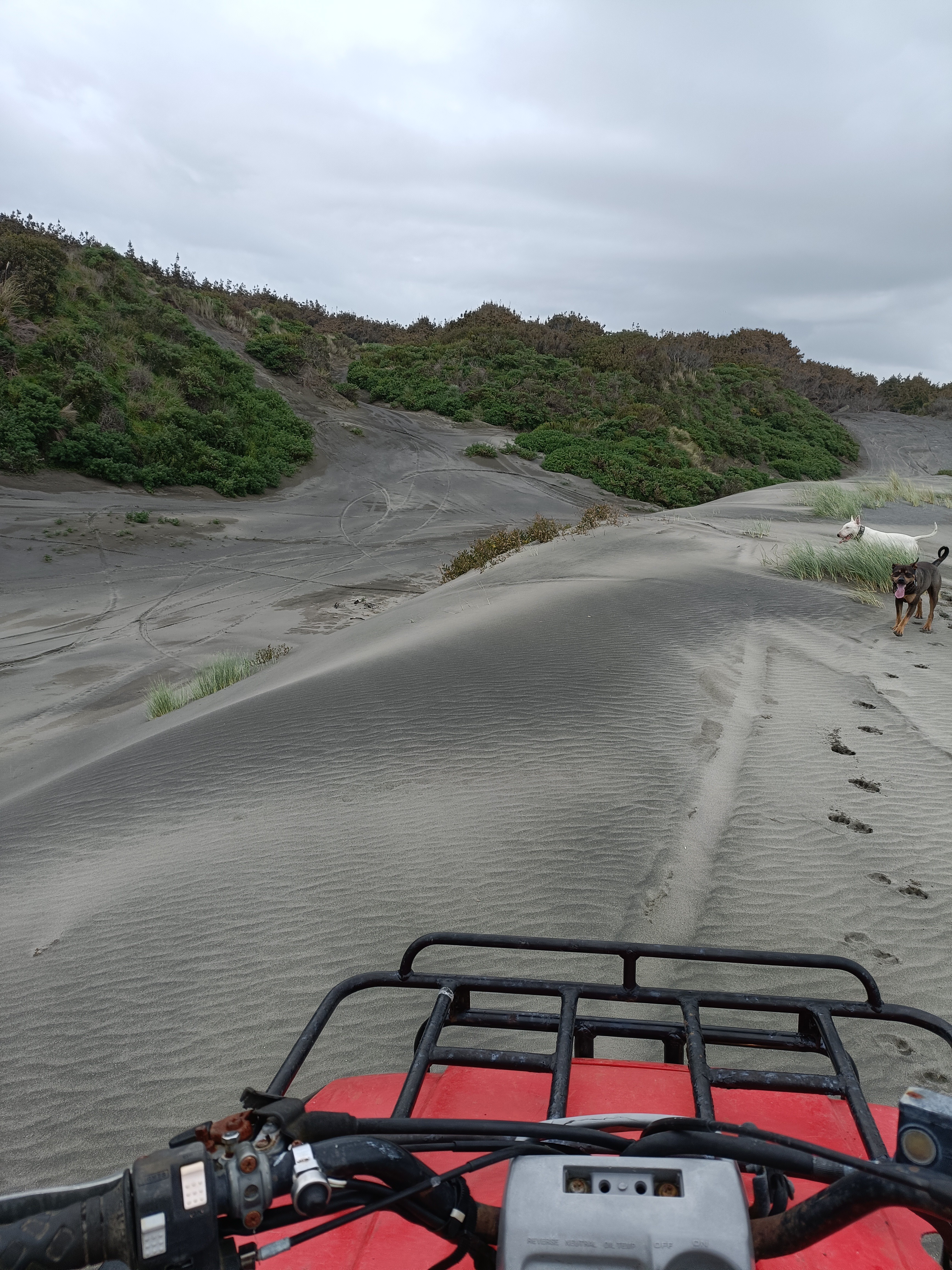 Foxton Beach image 2