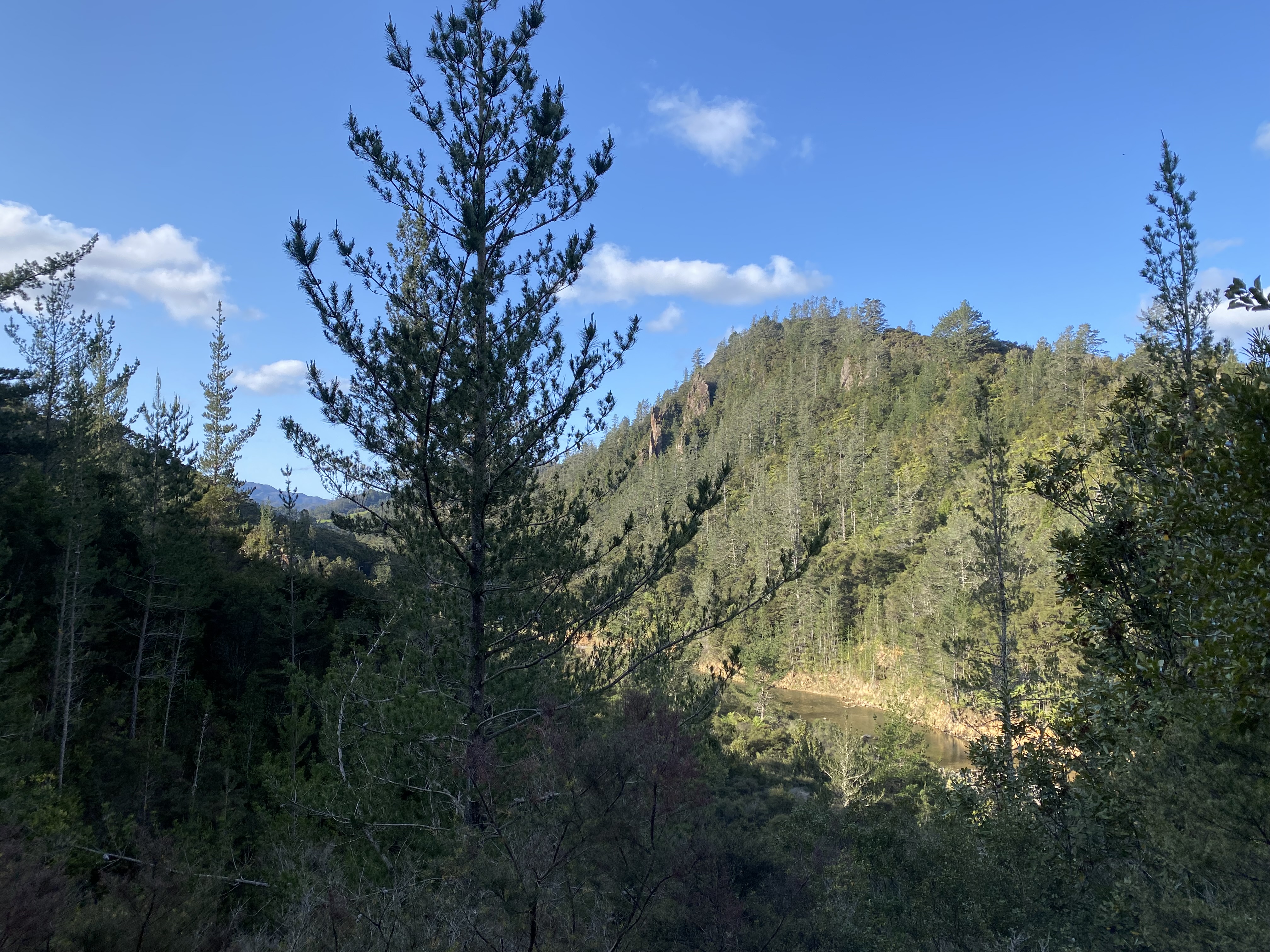 Broken Hills Campsite image 2