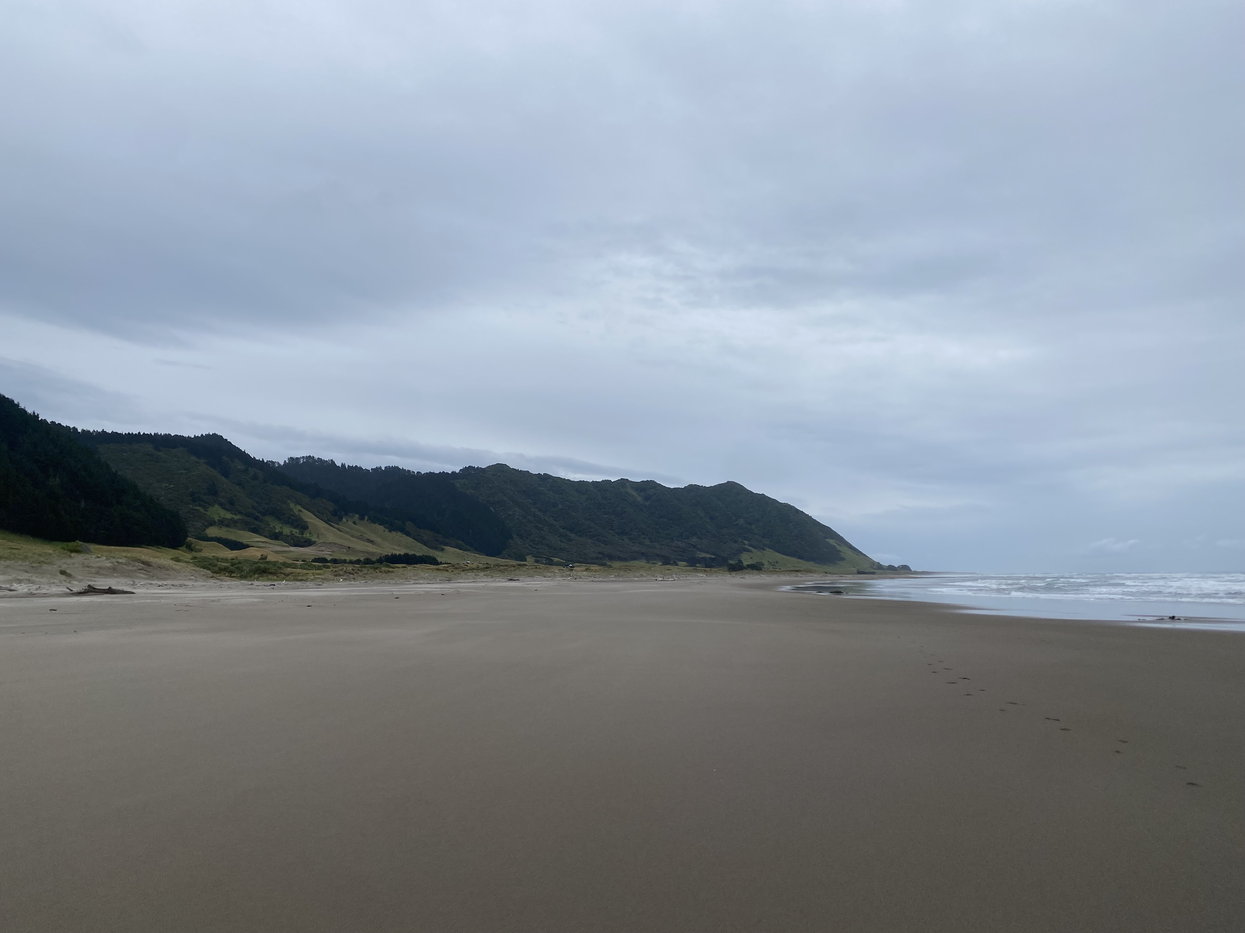 East Cape Campsite image 2