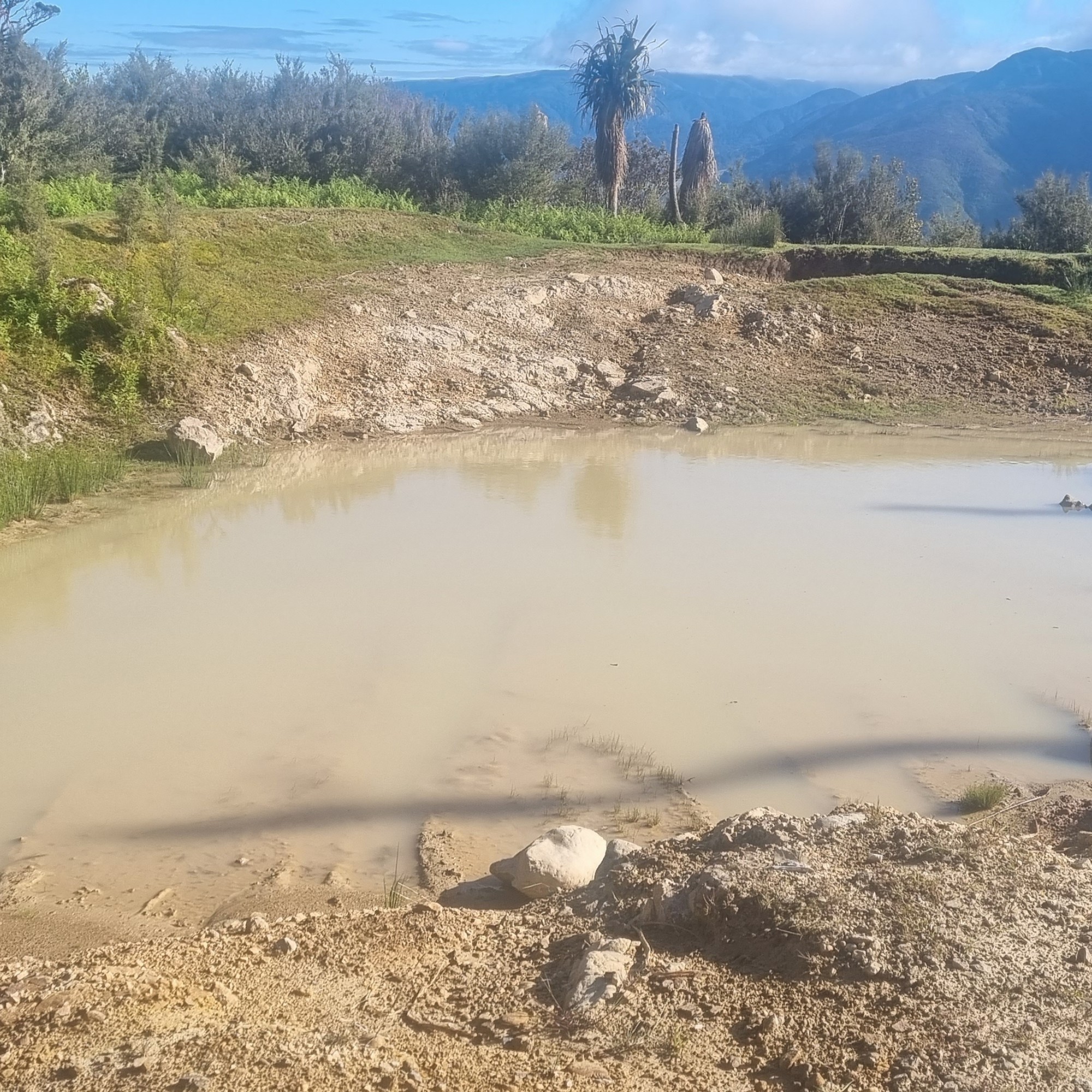 Takapari Road image 4