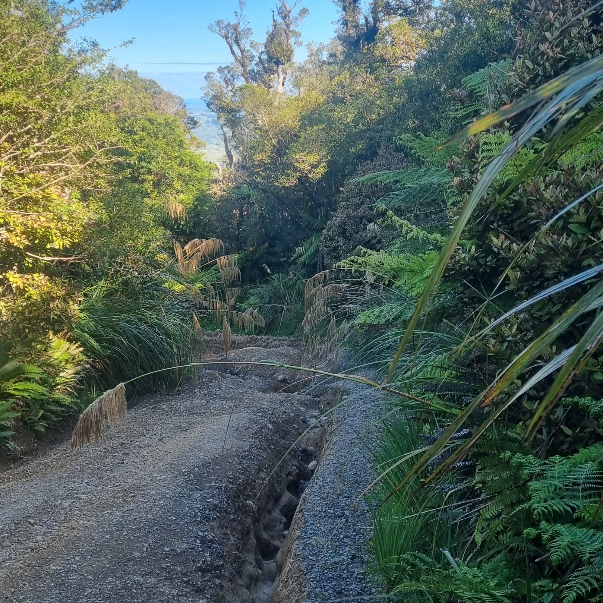 Takapari Road image 3