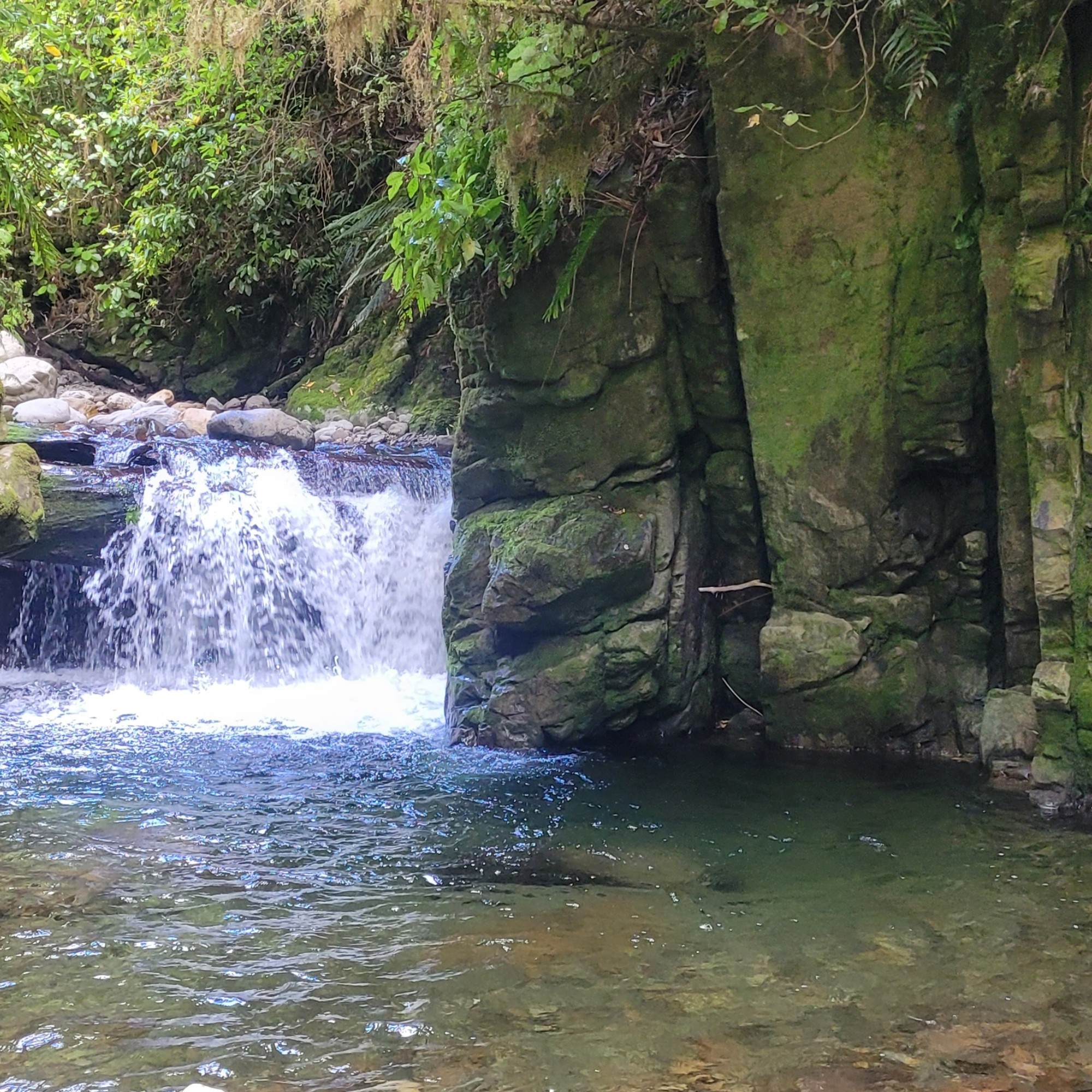 Waikawa Campsite image 7