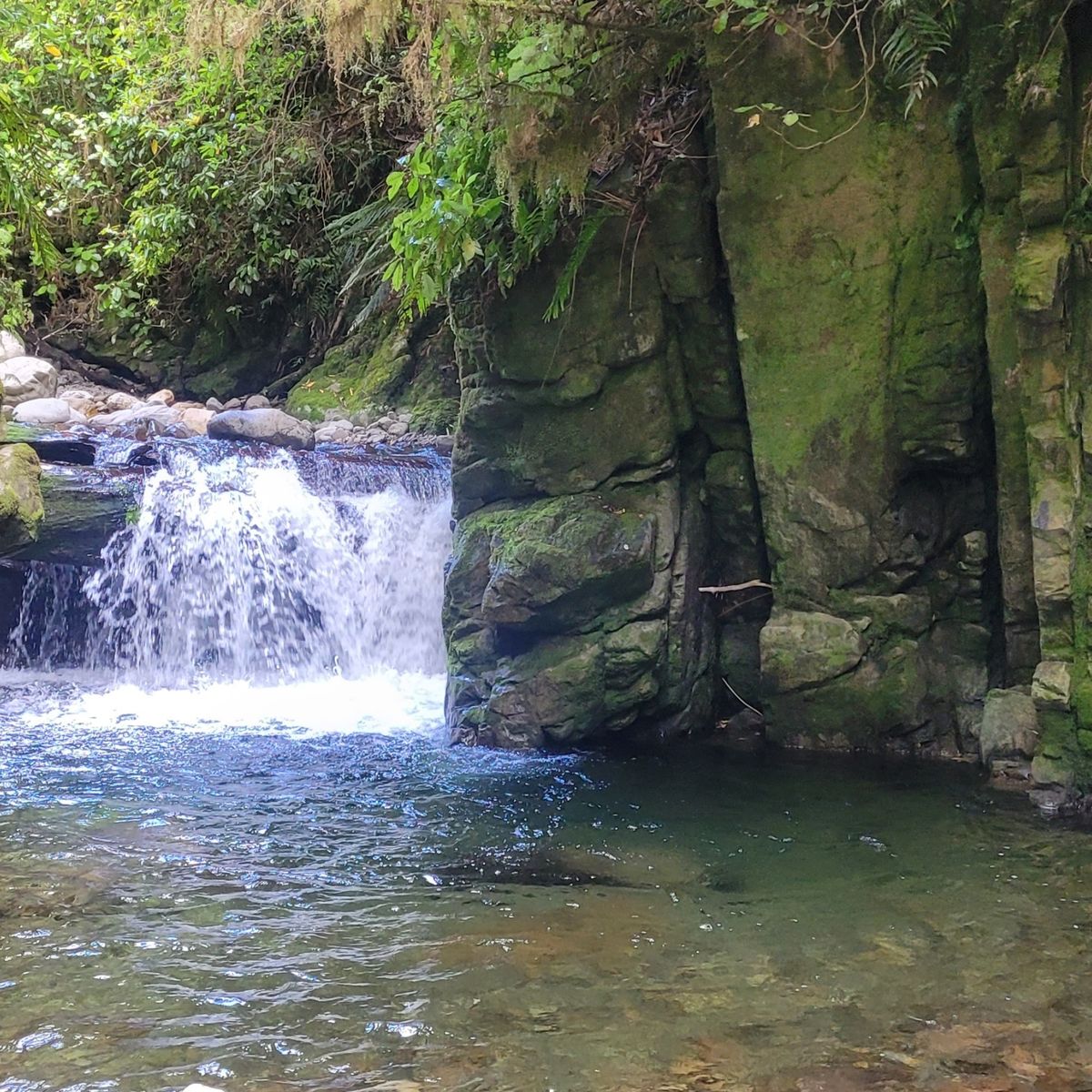 Waikawa Campsite image 7