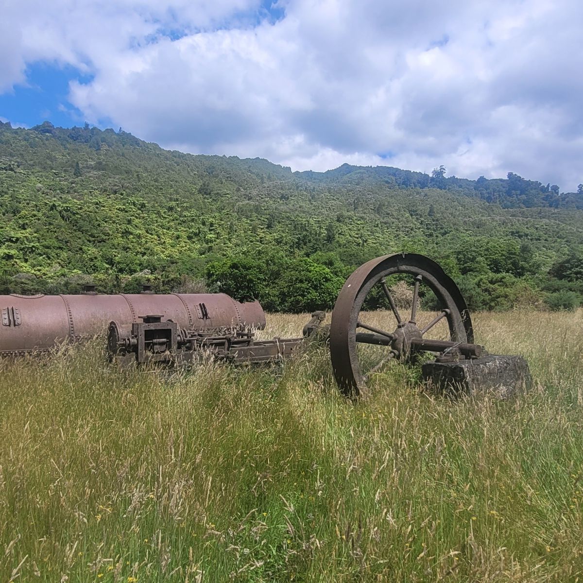 Waikawa Campsite image 3