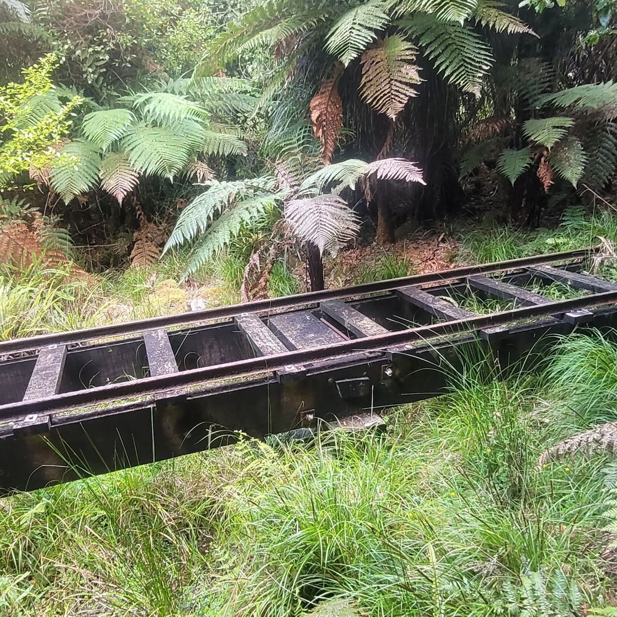 Waikawa Campsite image 8