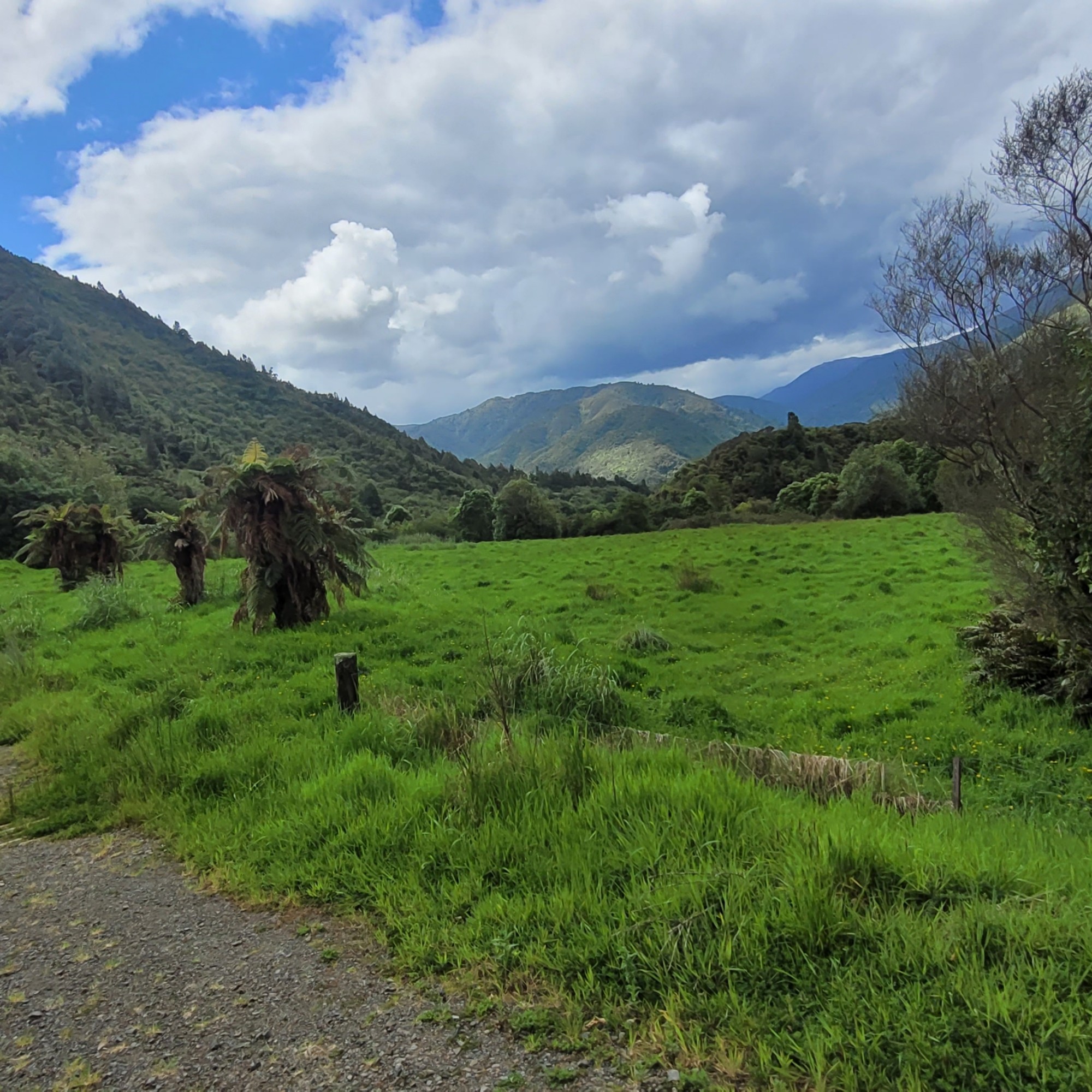 Waikawa Campsite image 6