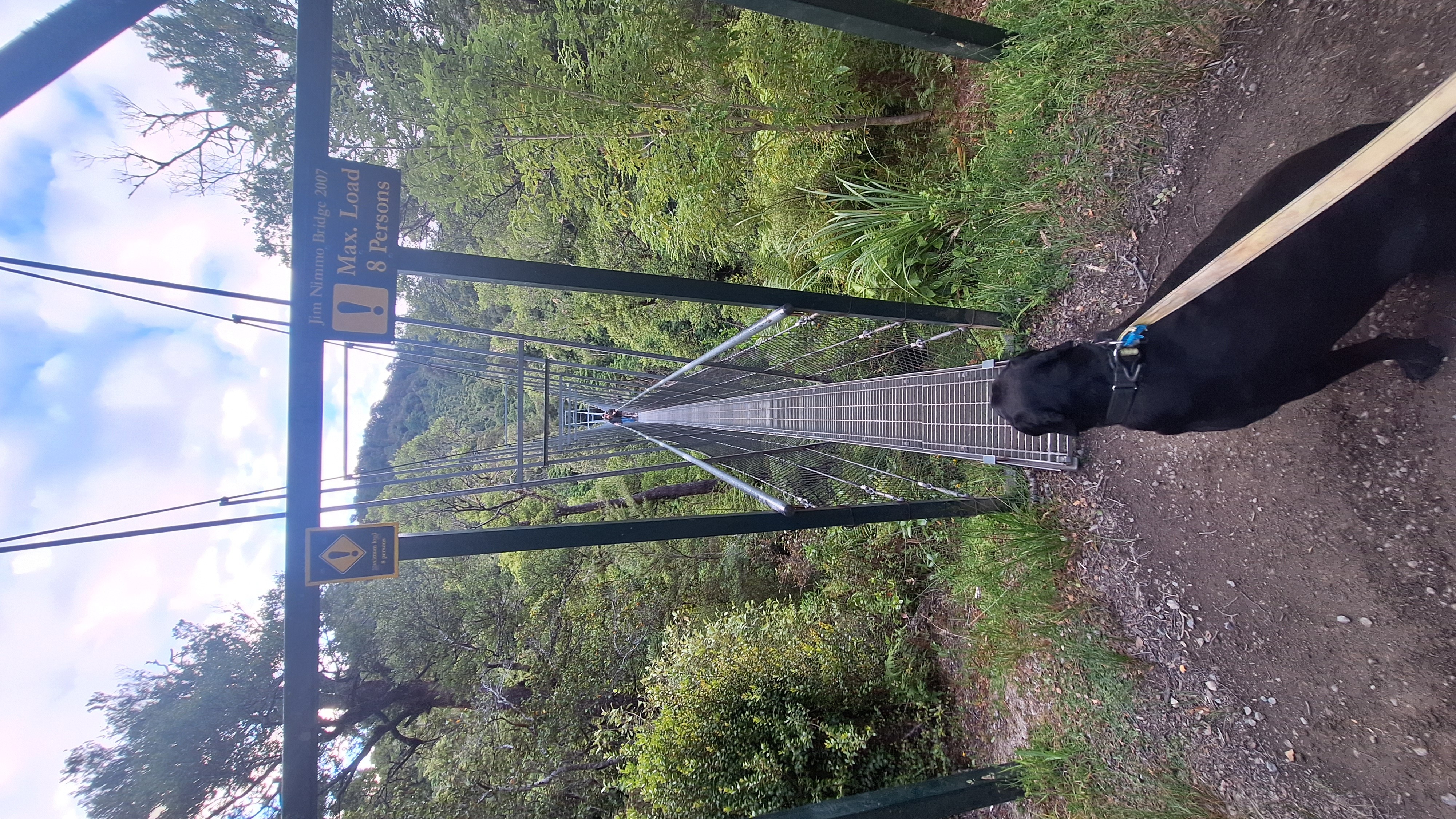 Waiohine Gorge Campsite image 3