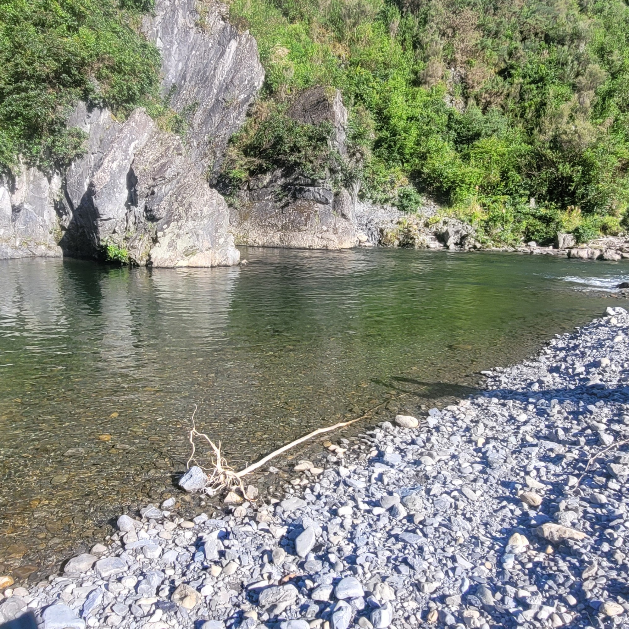 Waikawa Campsite image 1