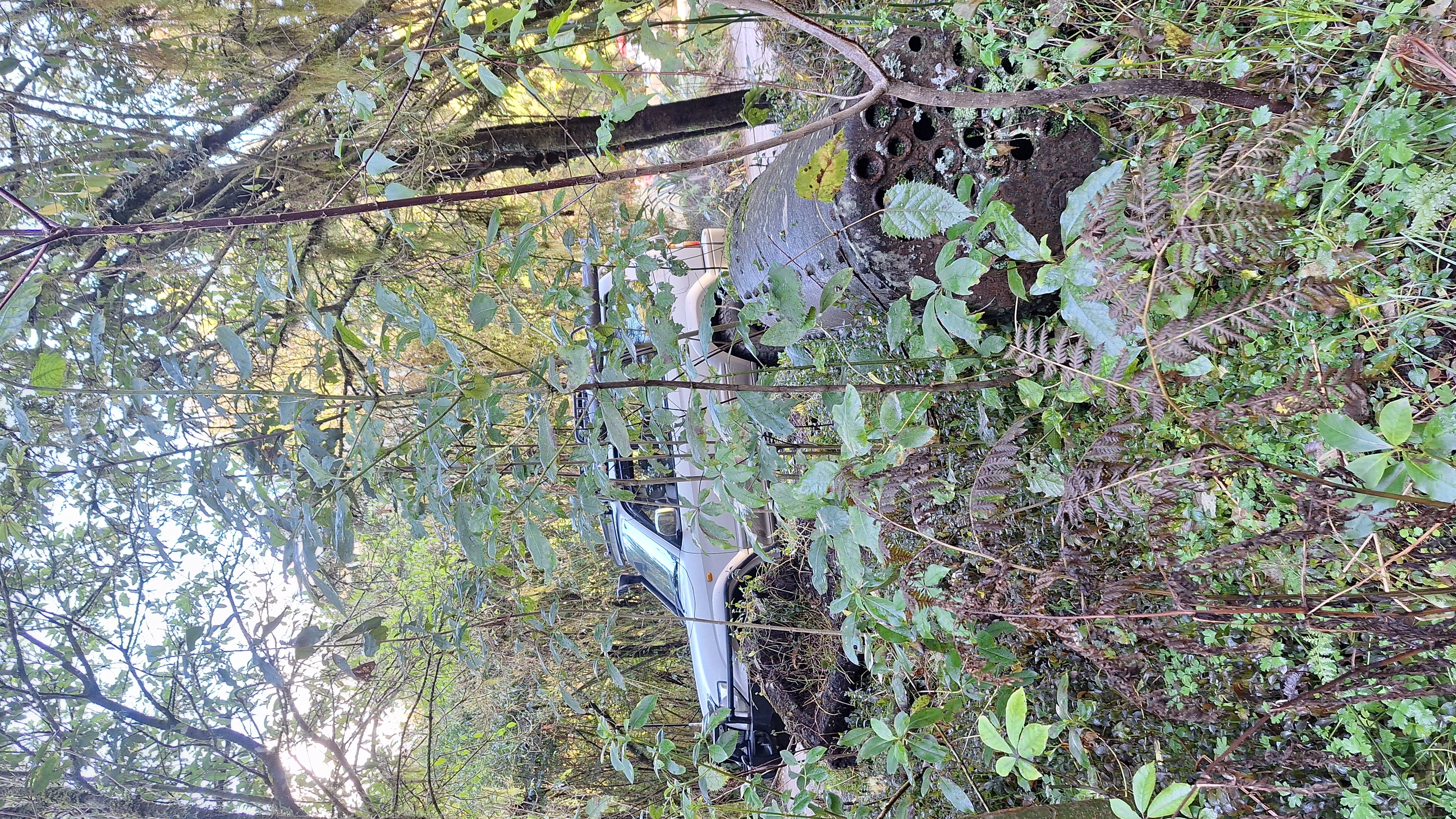 Otaki Gorge image 7