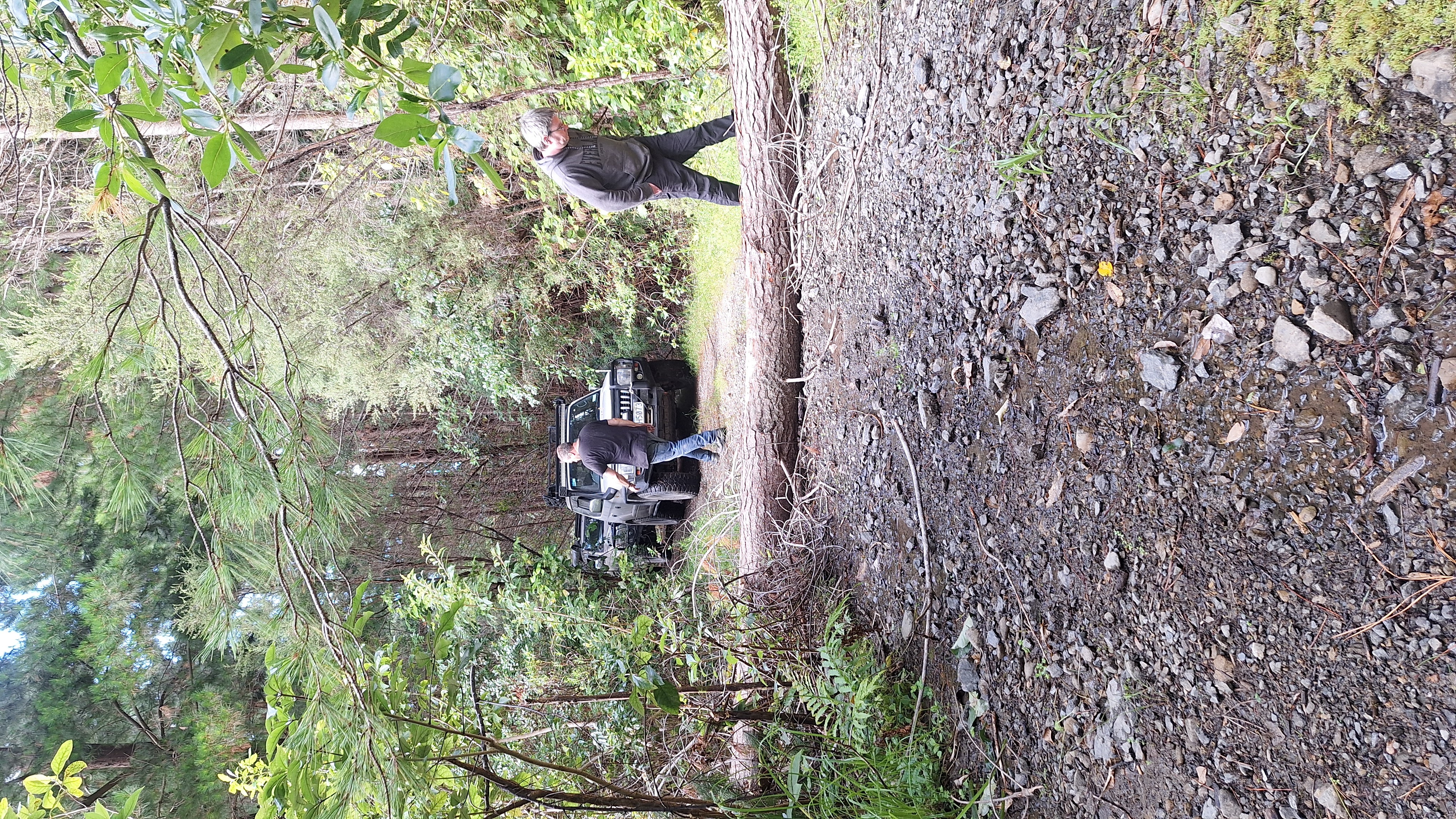 Waiohine Lookout image 7