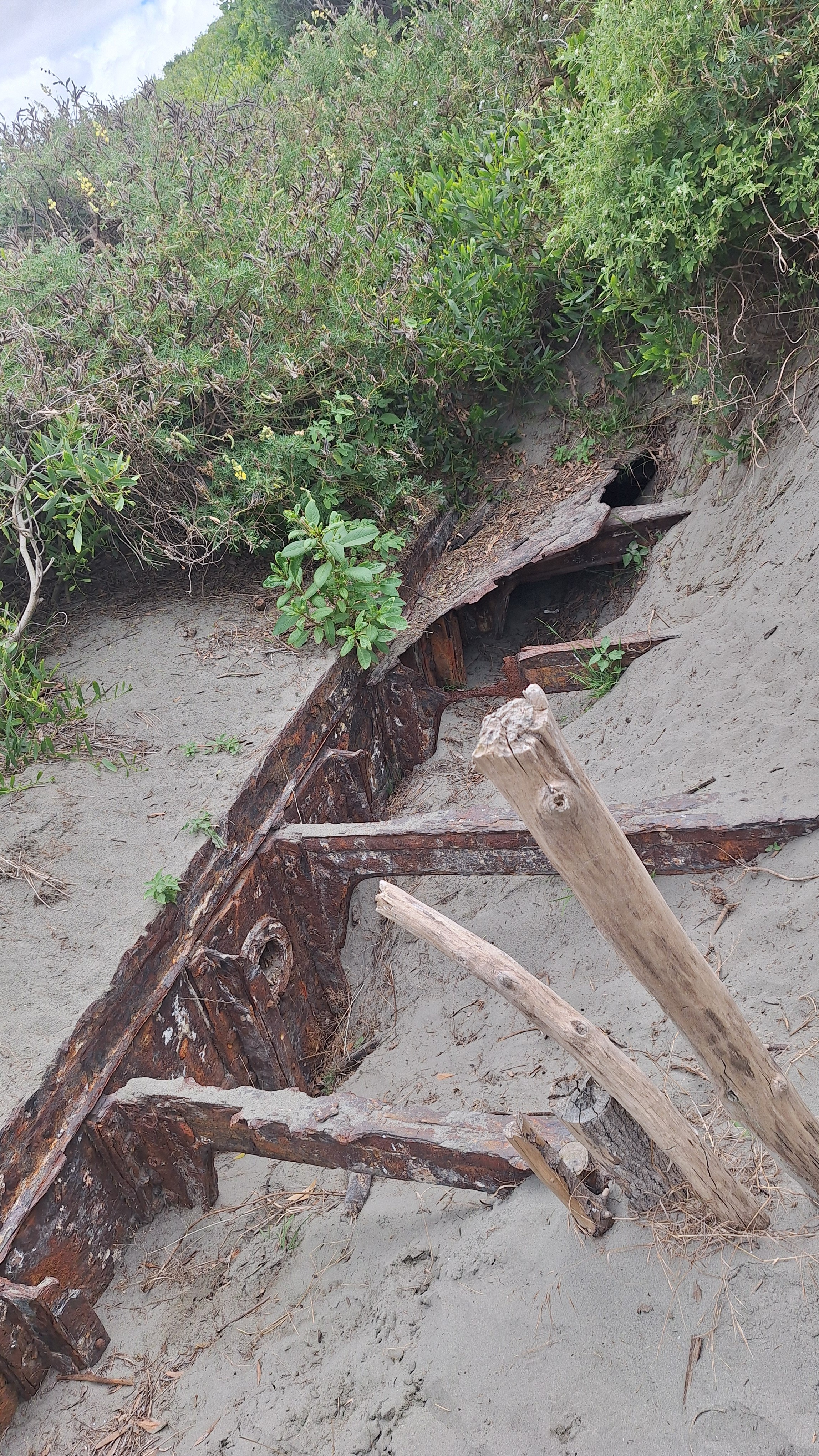 Waitarere Beach/Hydrabad Shipwreck image 2