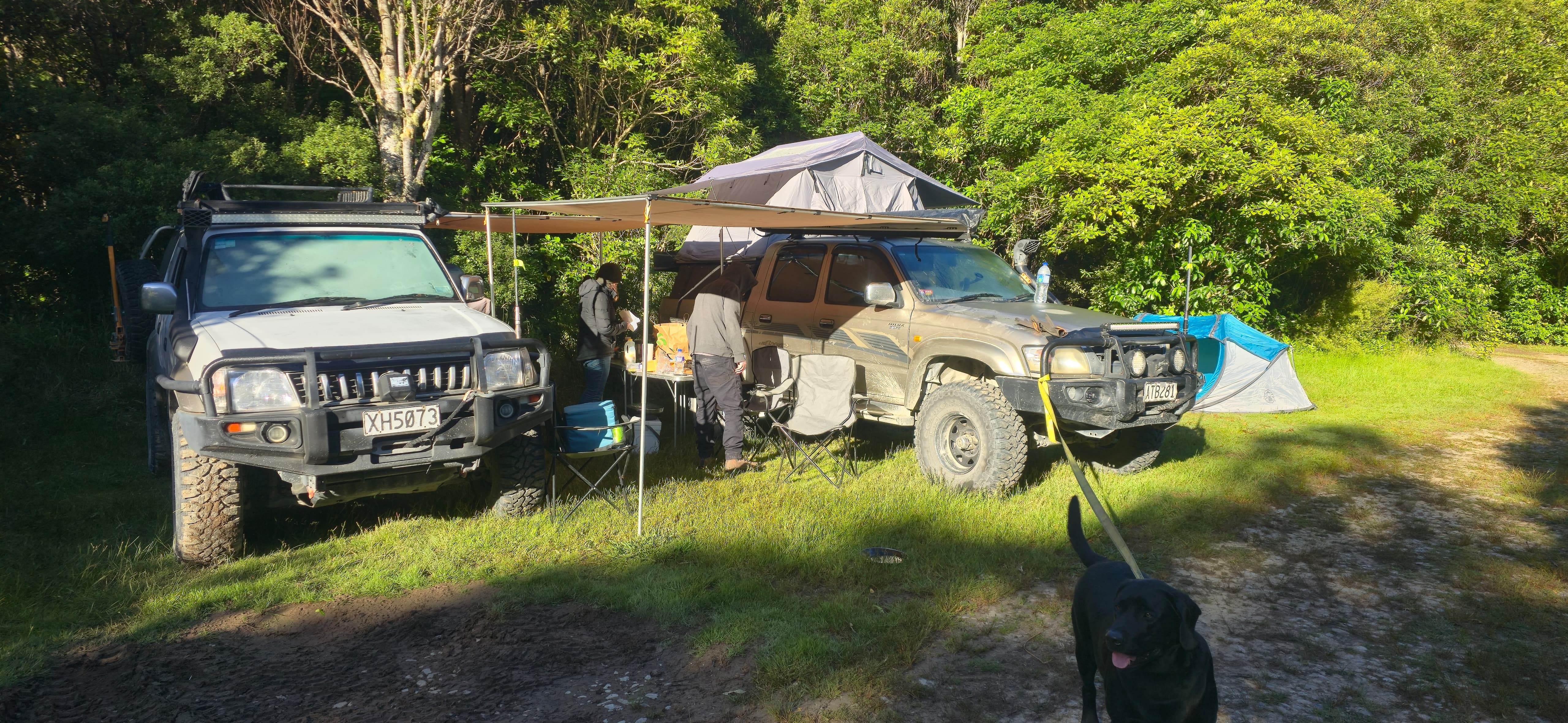 Waiohine Gorge Campsite image 6