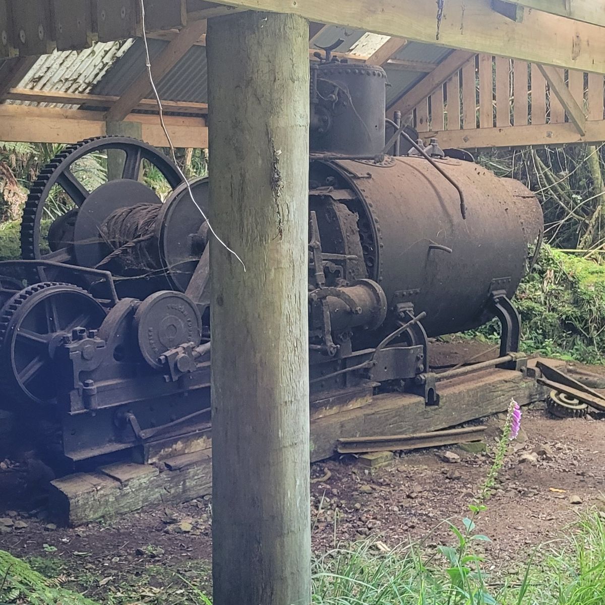 Waikawa Campsite image 4