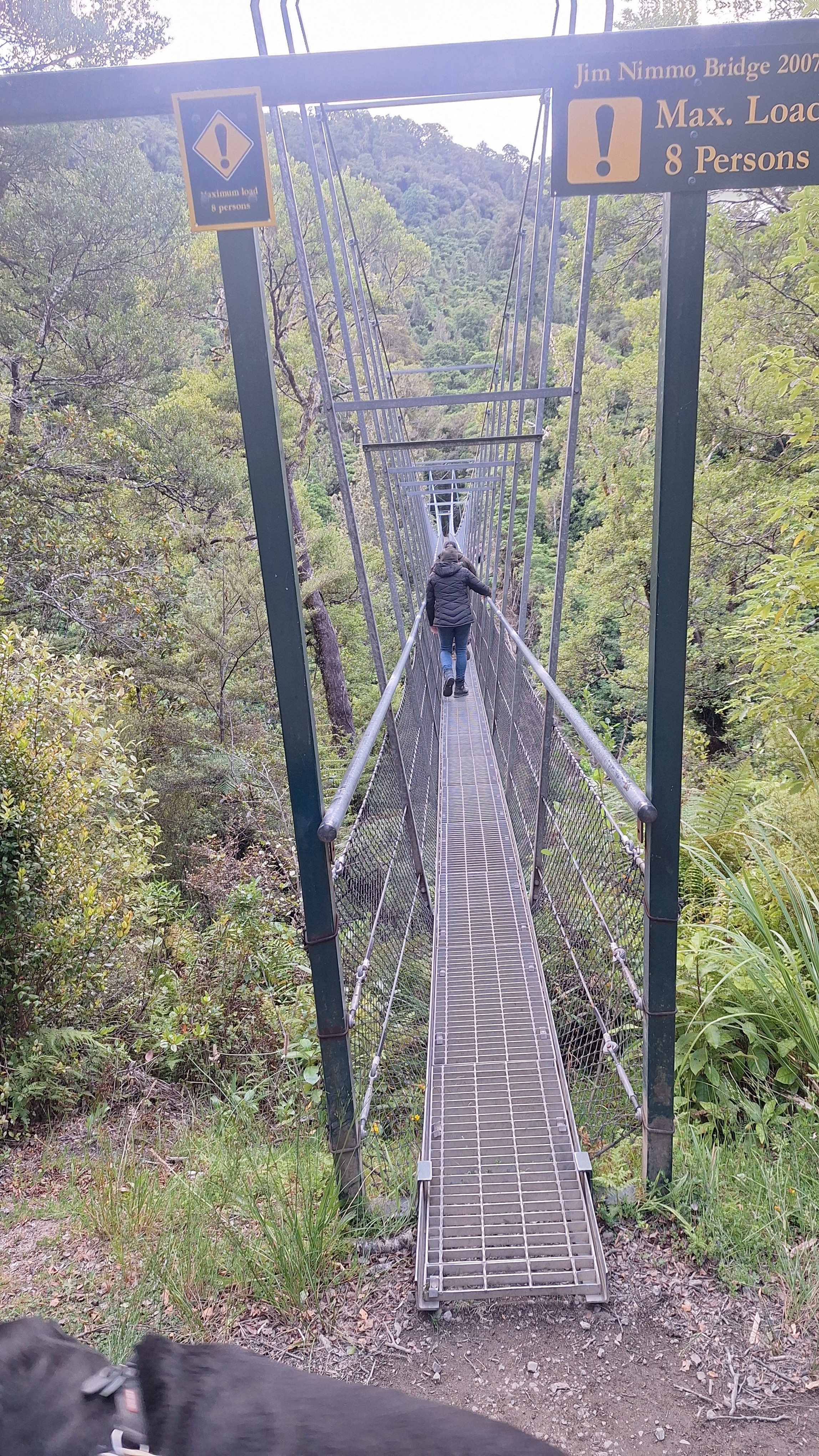 Waiohine Gorge image 1