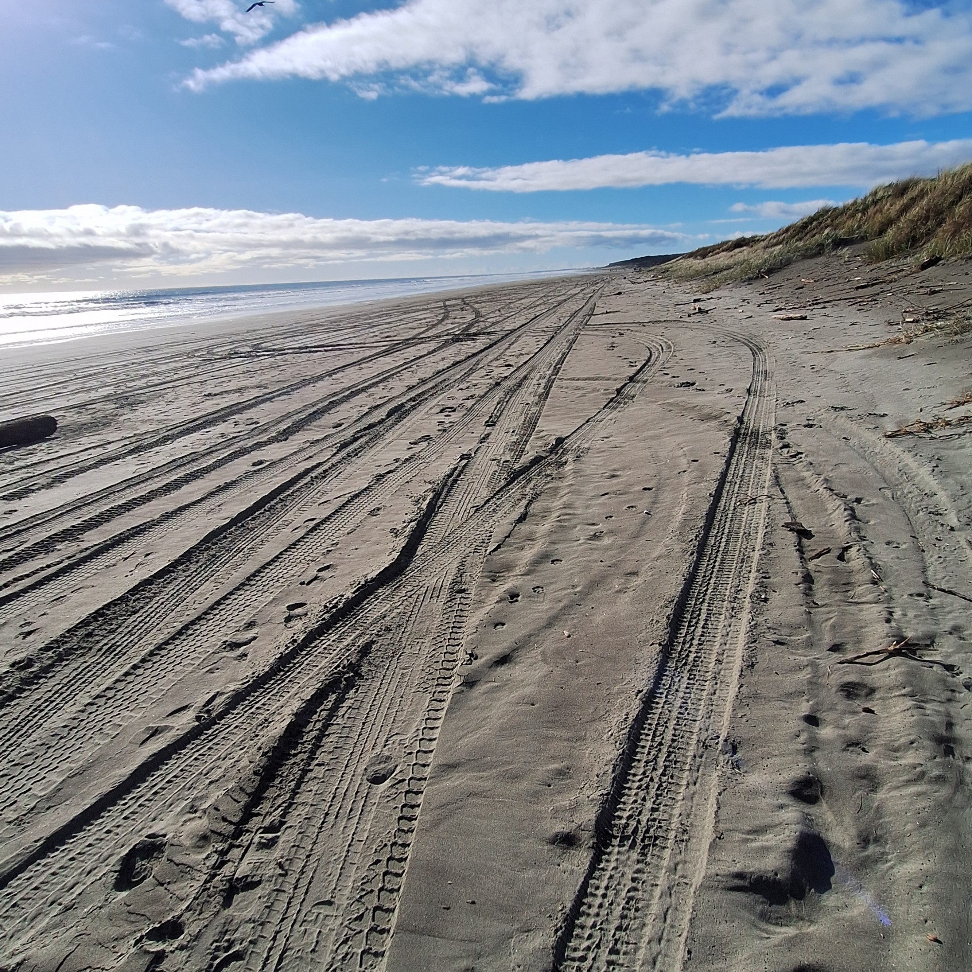 Otaki Beach image 2