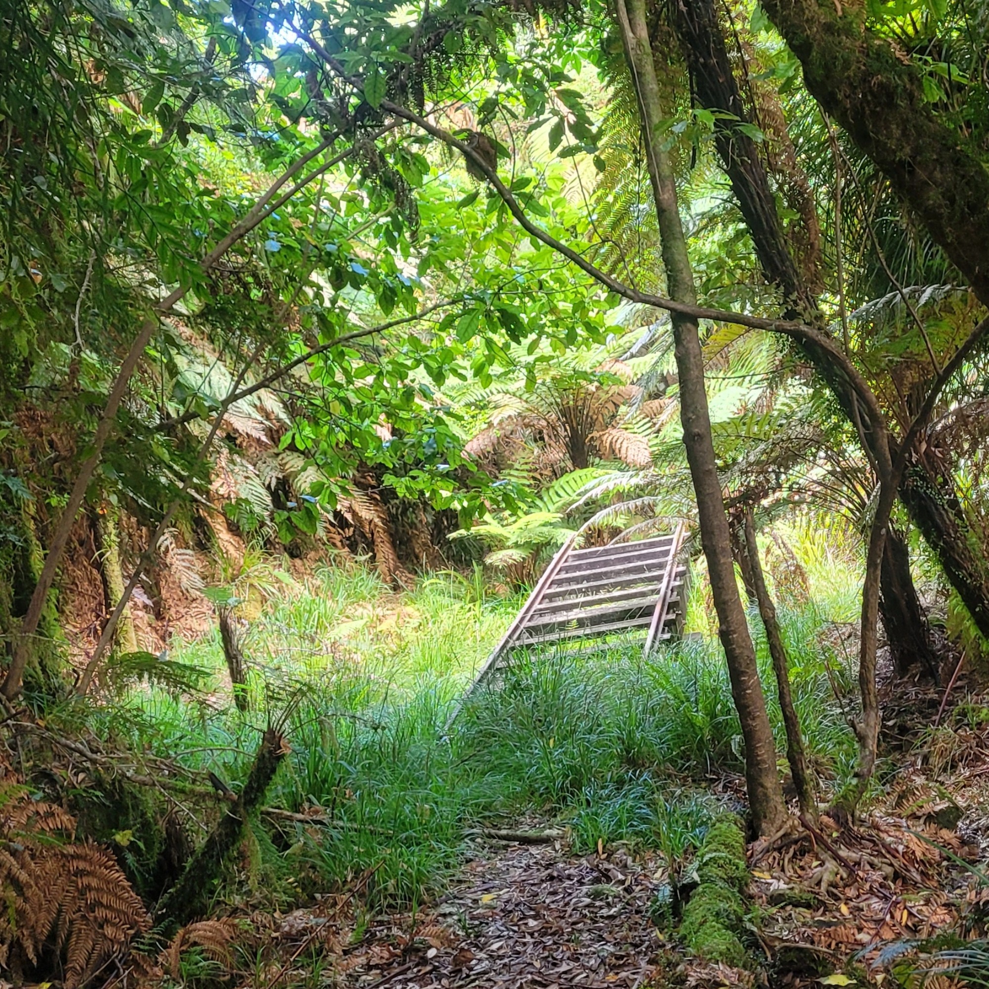Waikawa Campsite image 5