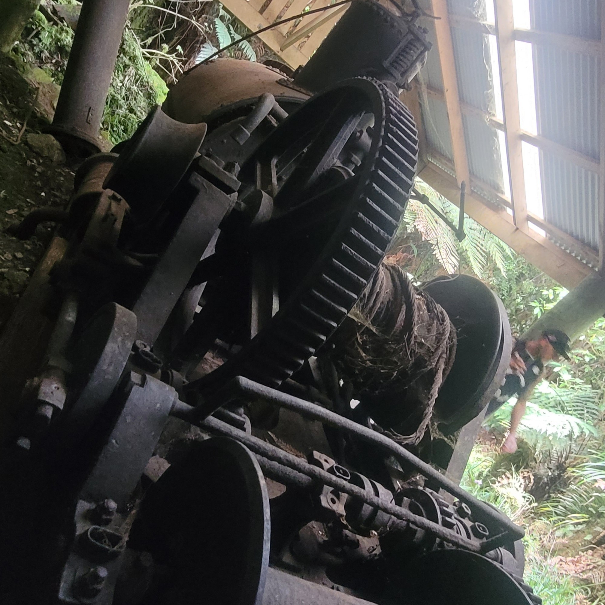 Waikawa Campsite image 2