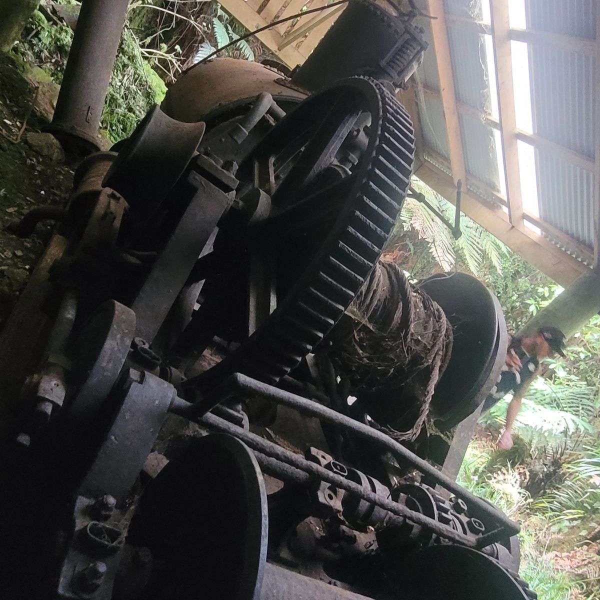 Waikawa Campsite image 2