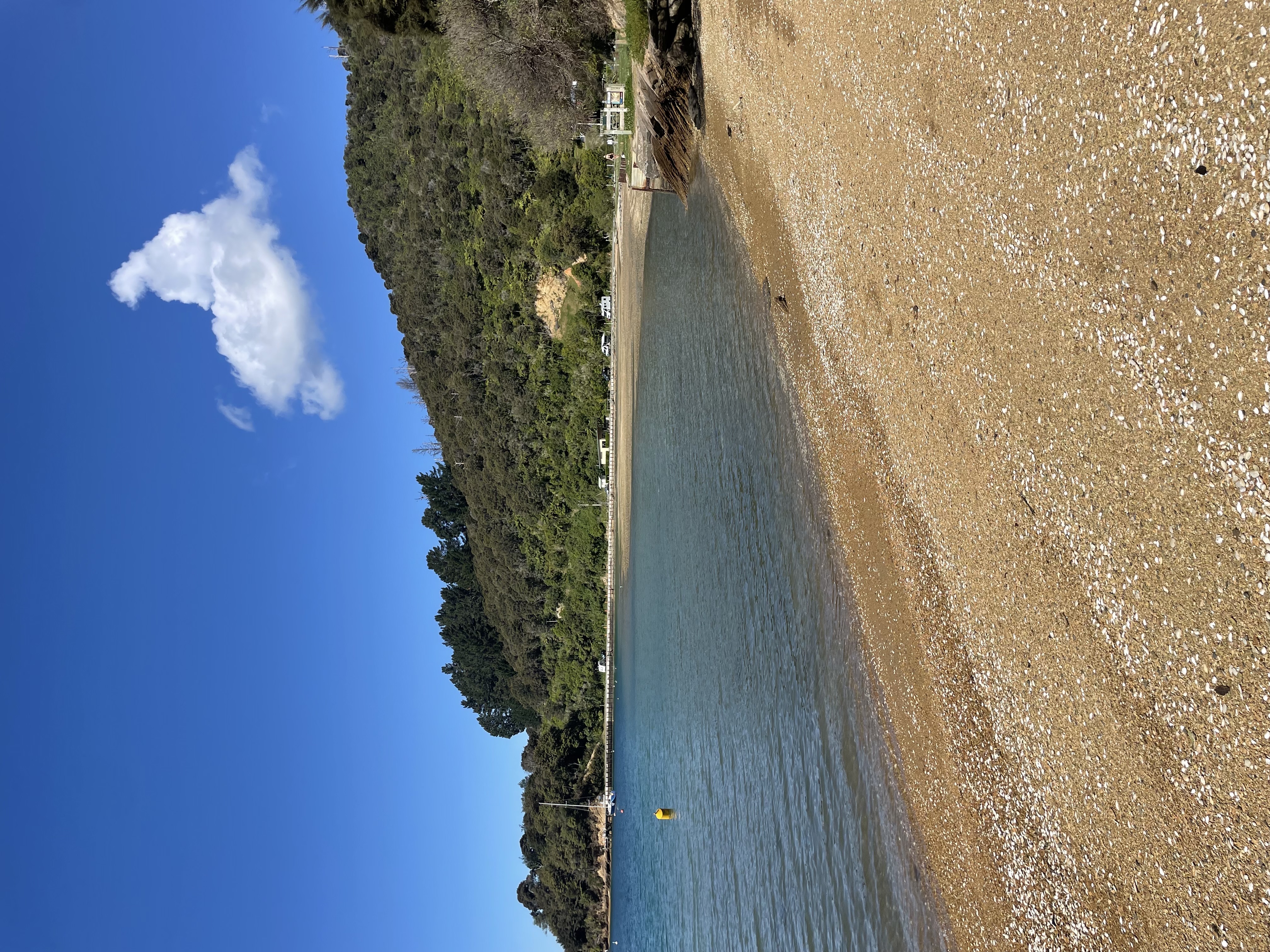 Momorangi Bay Campground image 1