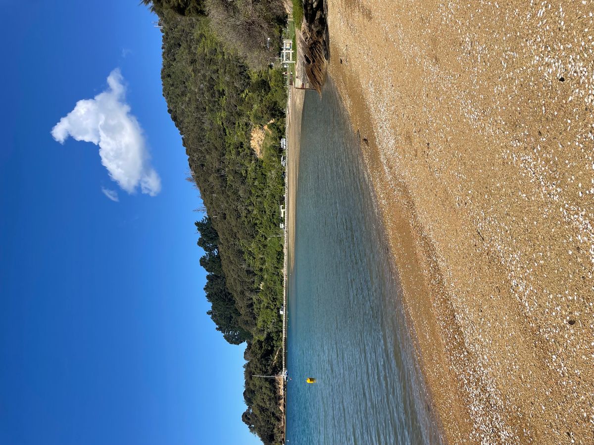 Momorangi Bay Campground image 1