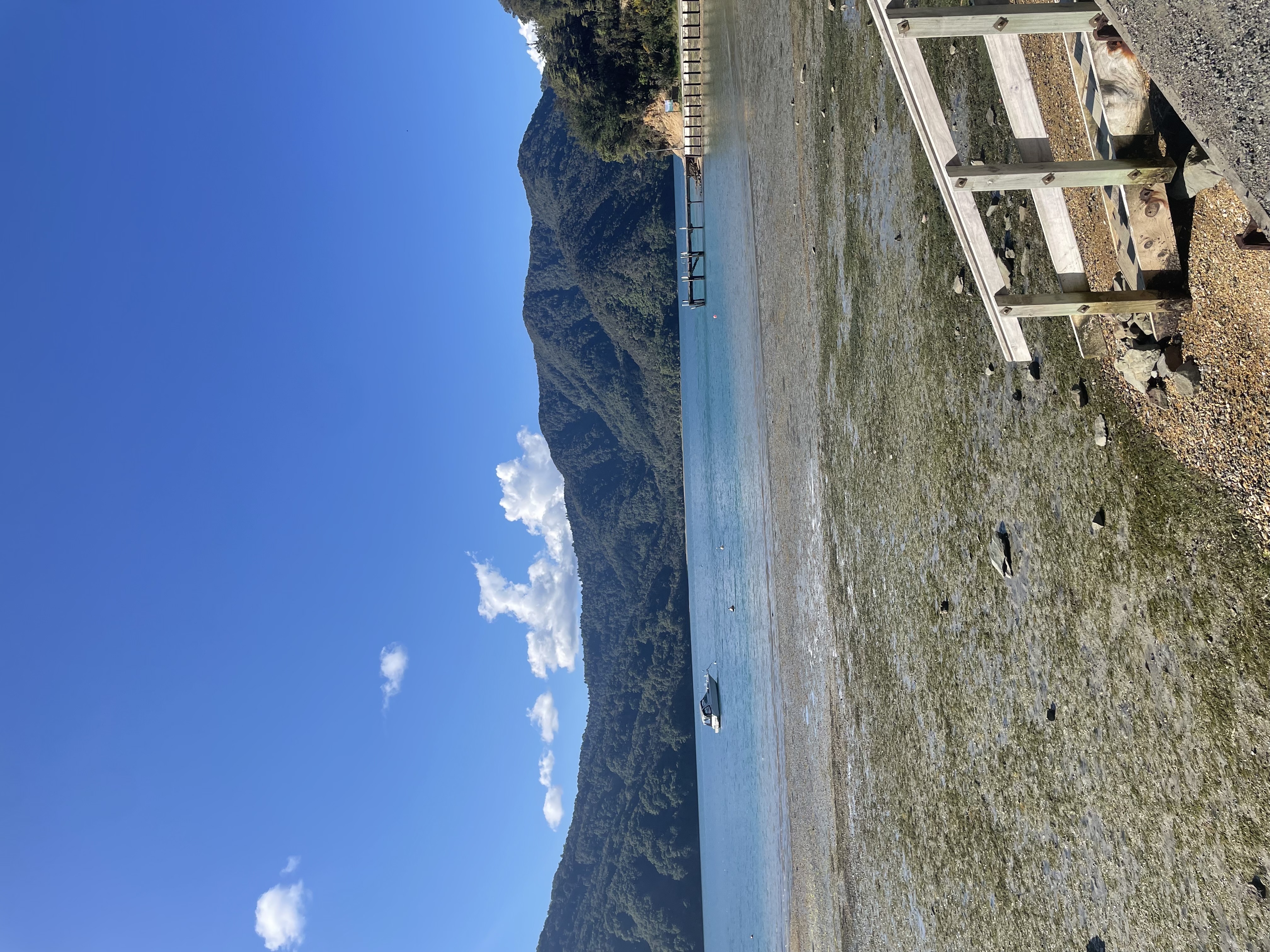 Momorangi Bay Campground image 2