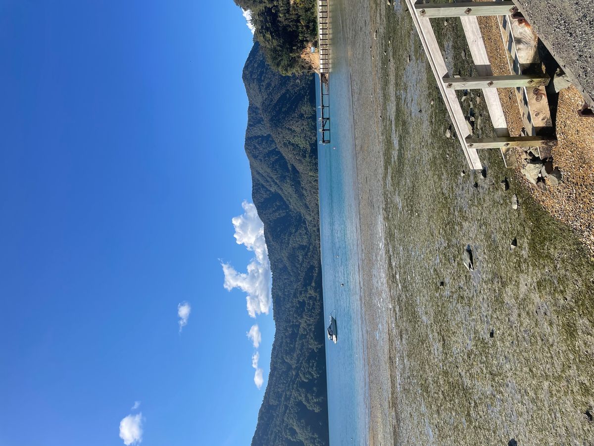 Momorangi Bay Campground image 2