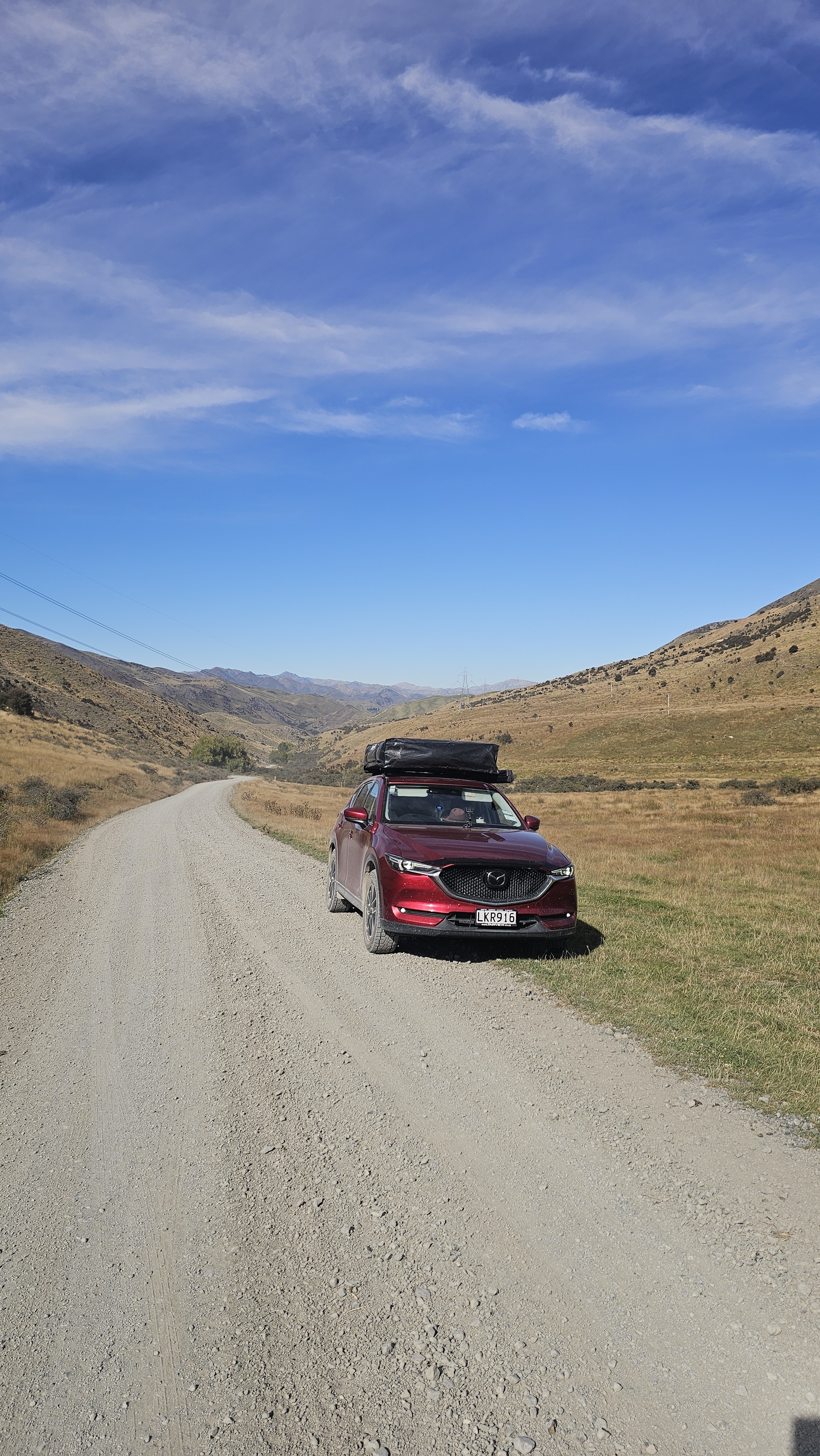 Molesworth Station image 5