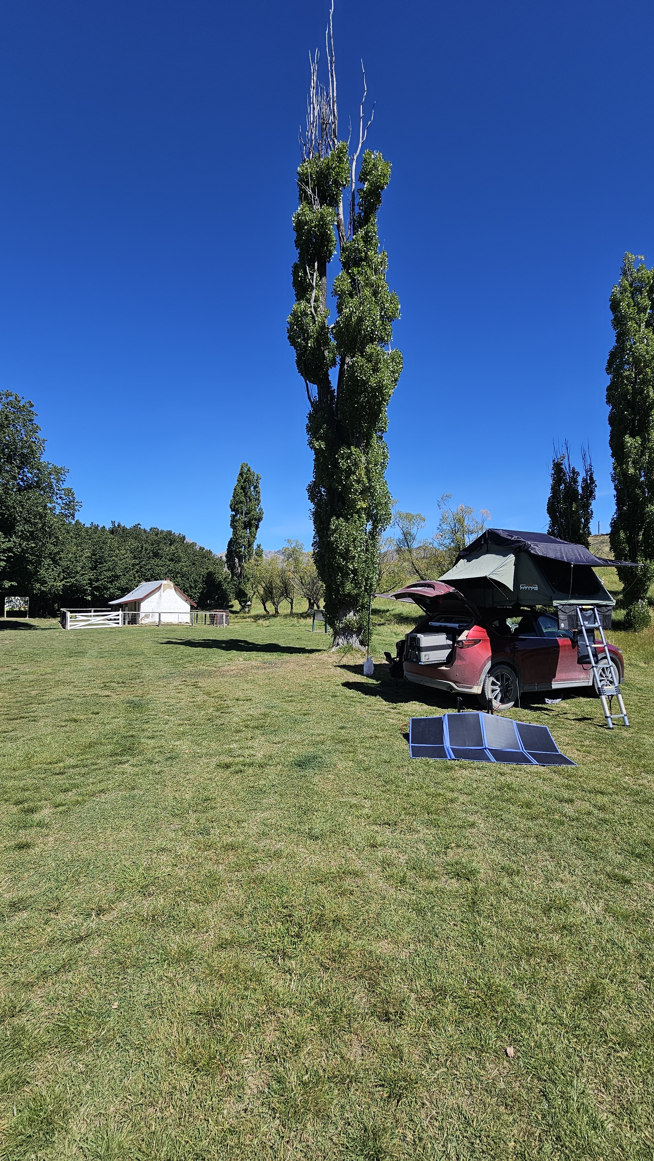 Molesworth Station image 6