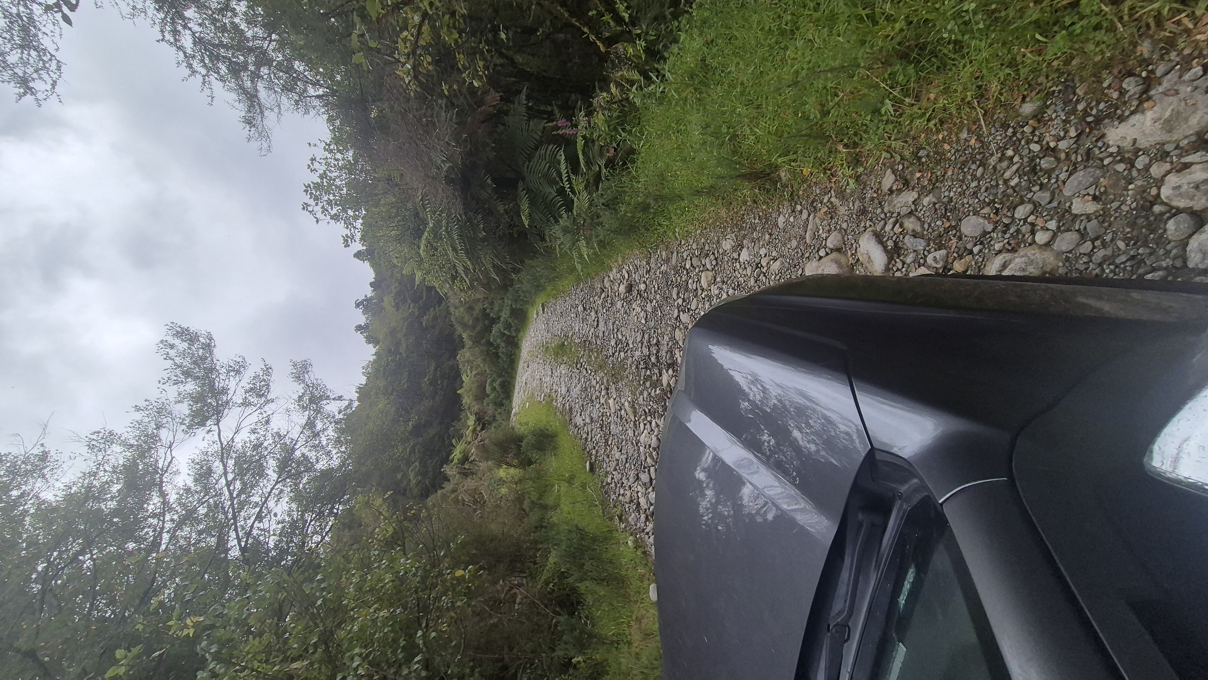 Four Mile Road image 1