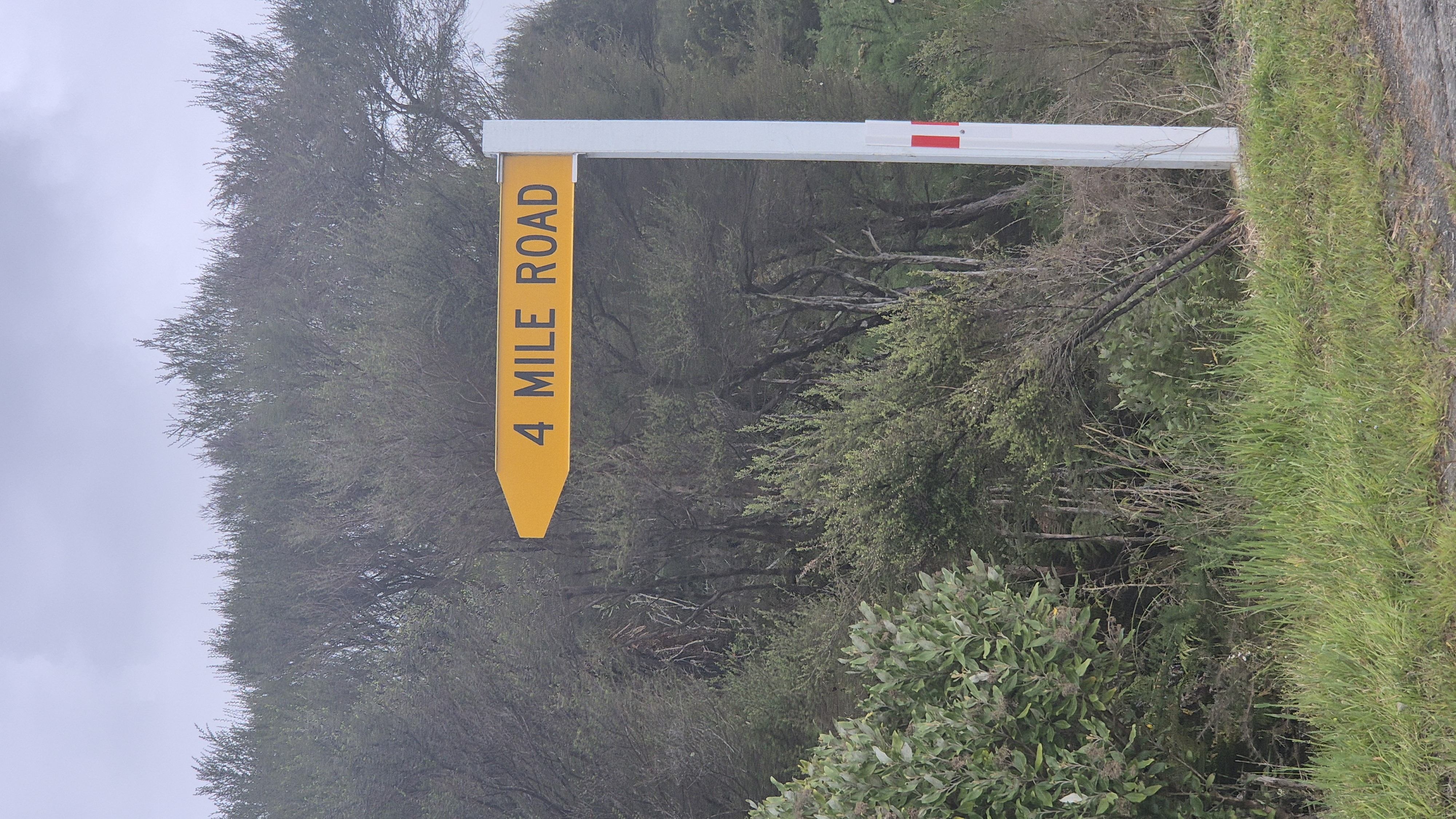 Four Mile Road image 3