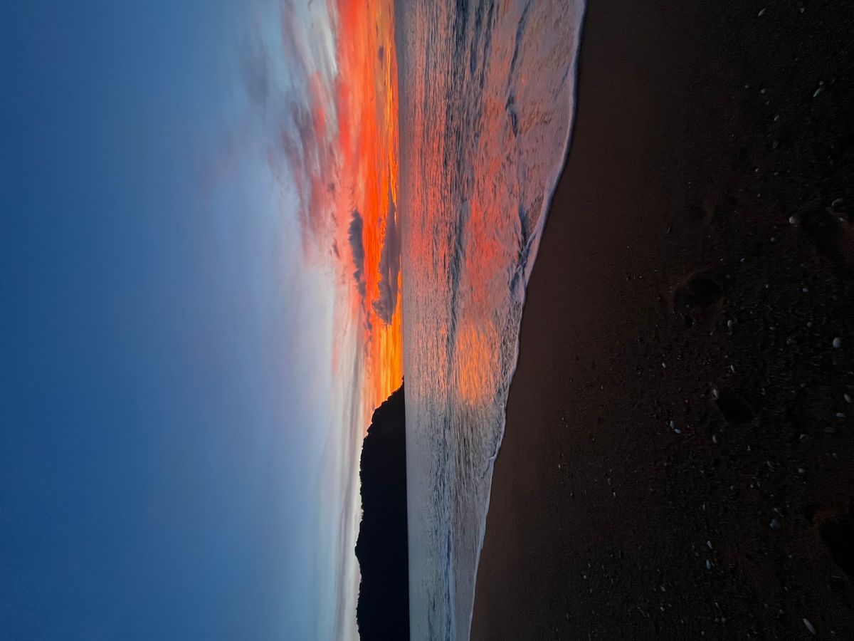 Totaranui Campground image 5