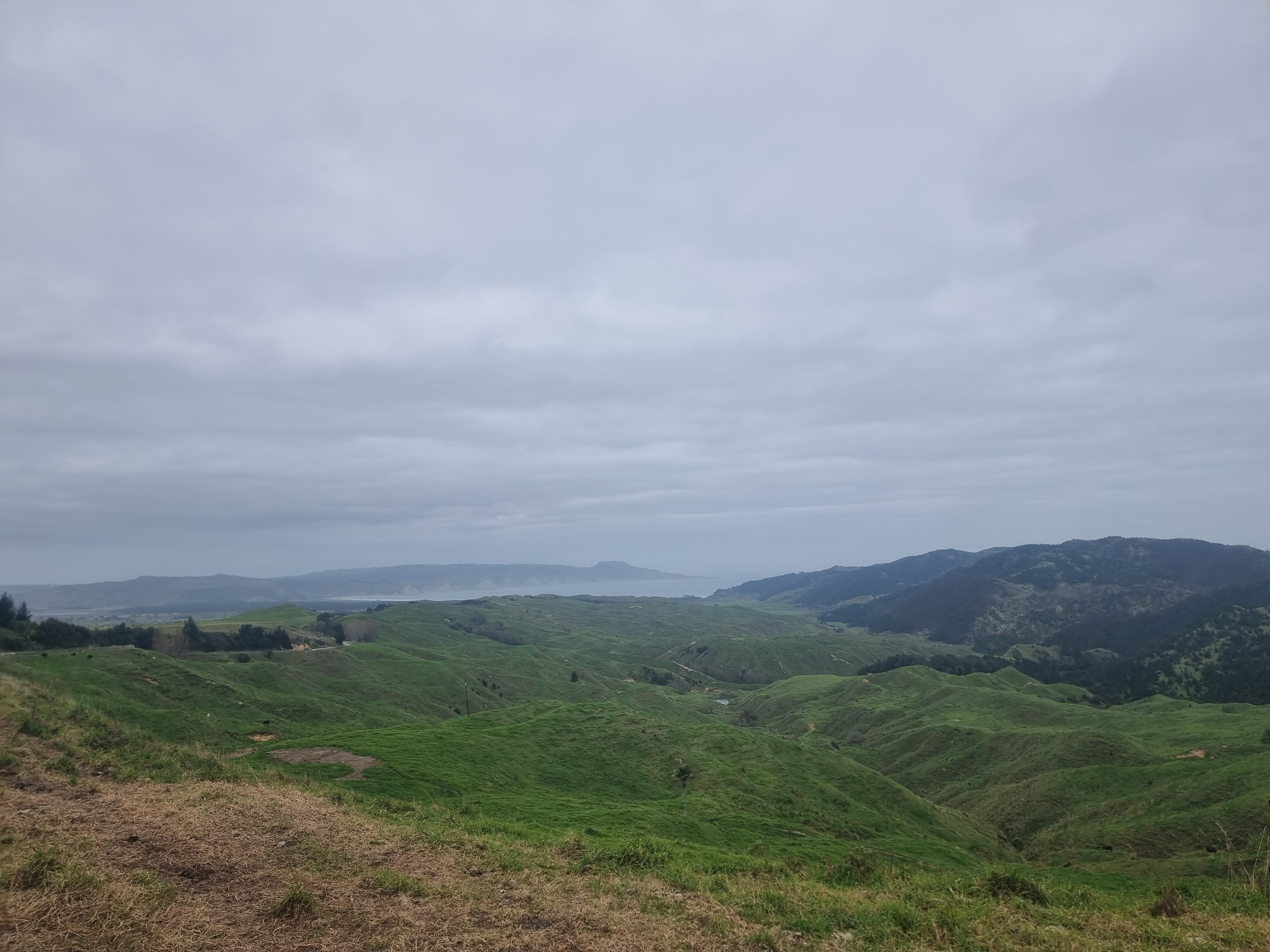 Tunanui Road image 2