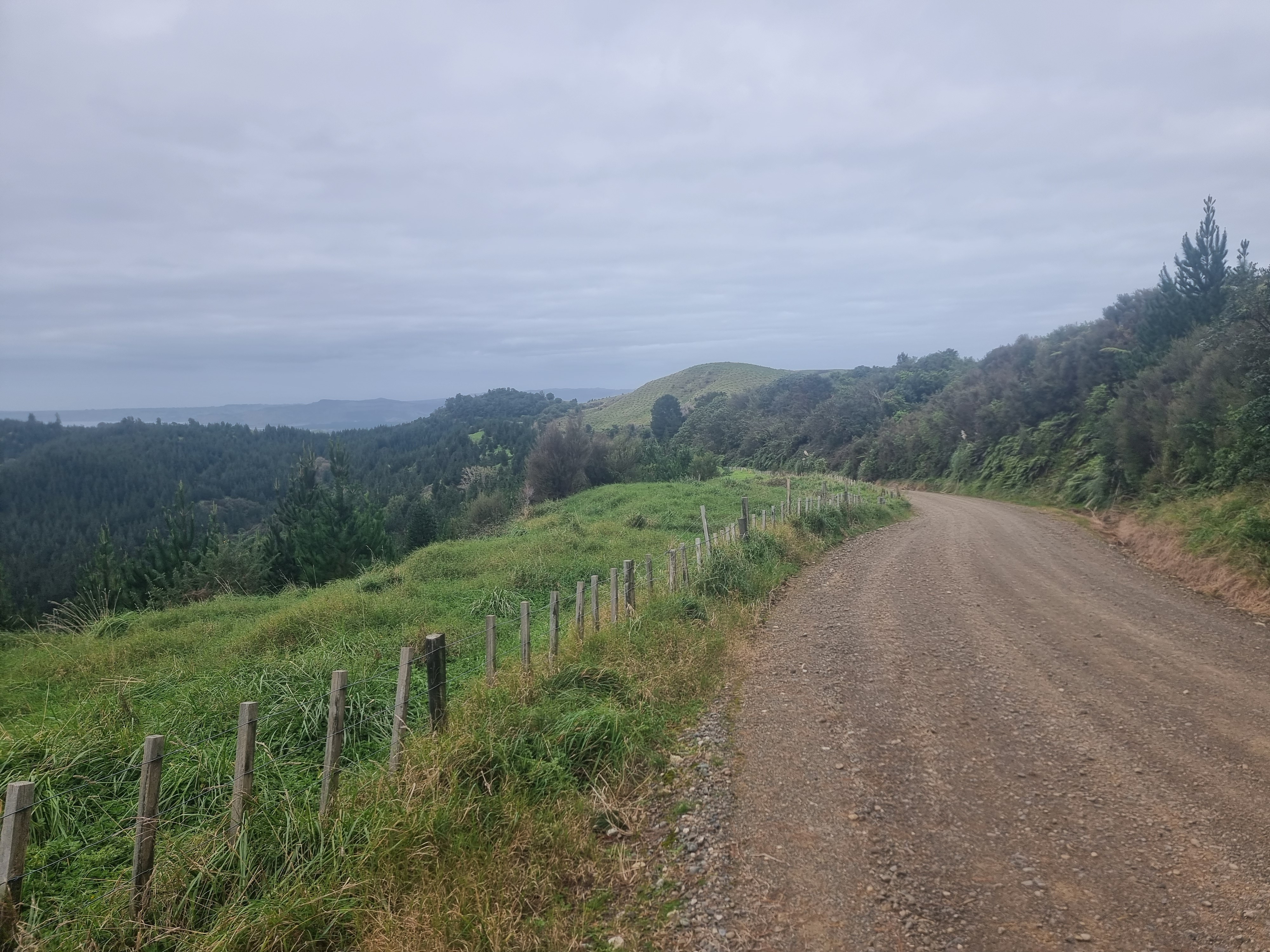 Tunanui Road image 1