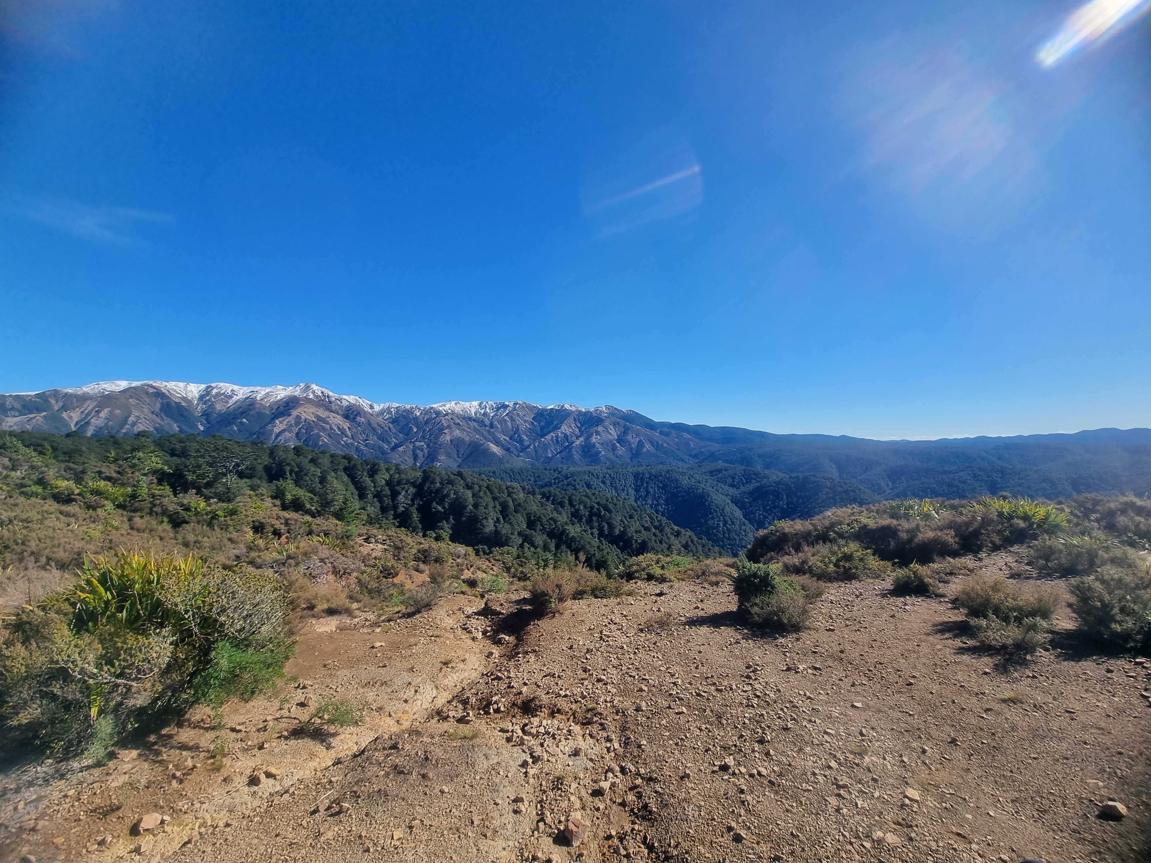 Kaweka Rd Lookout image 4