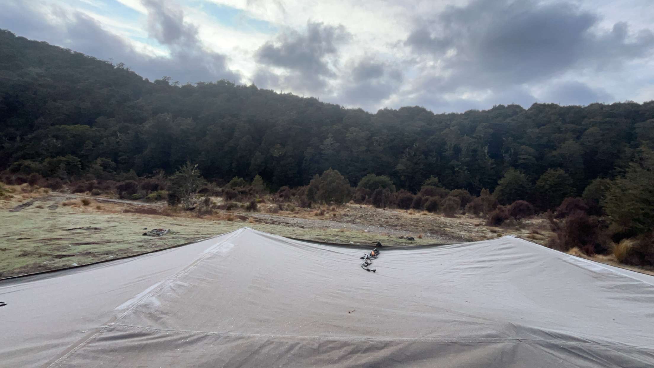 Waipakihi Campsite image 7