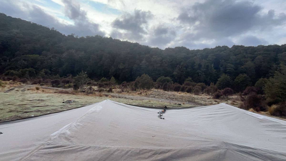 Waipakihi Campsite image 7