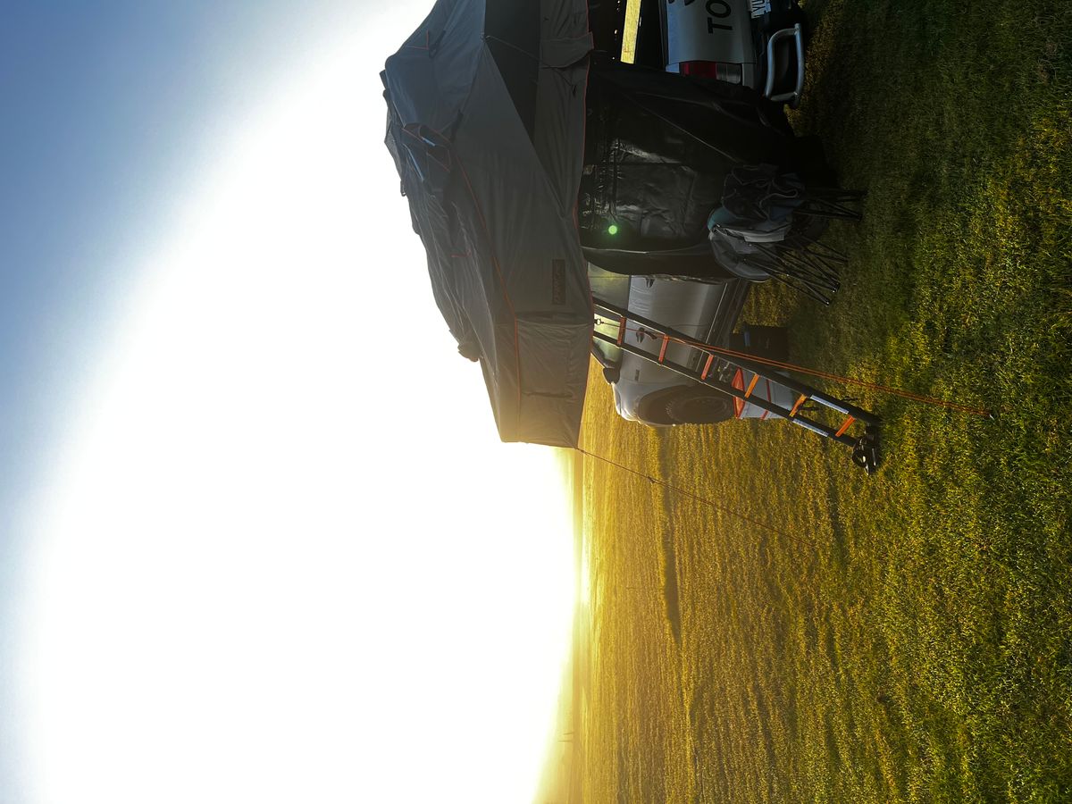 Uretiti Beach Campsite image 4