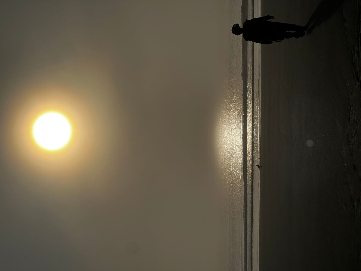 Uretiti Beach Campsite image 6